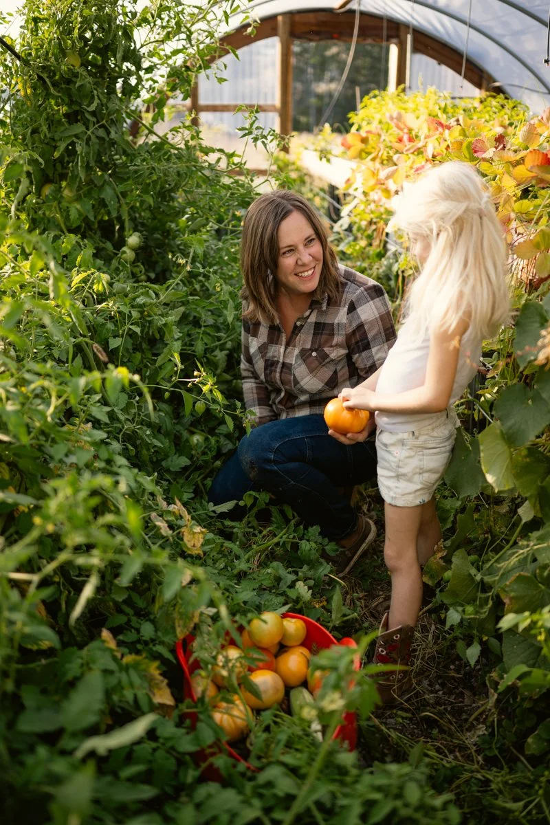 A woman and a young girl picking tomatoes in a greenhouse, with the woman smiling at the girl holding a tomato, and a basket of tomatoes on the ground.