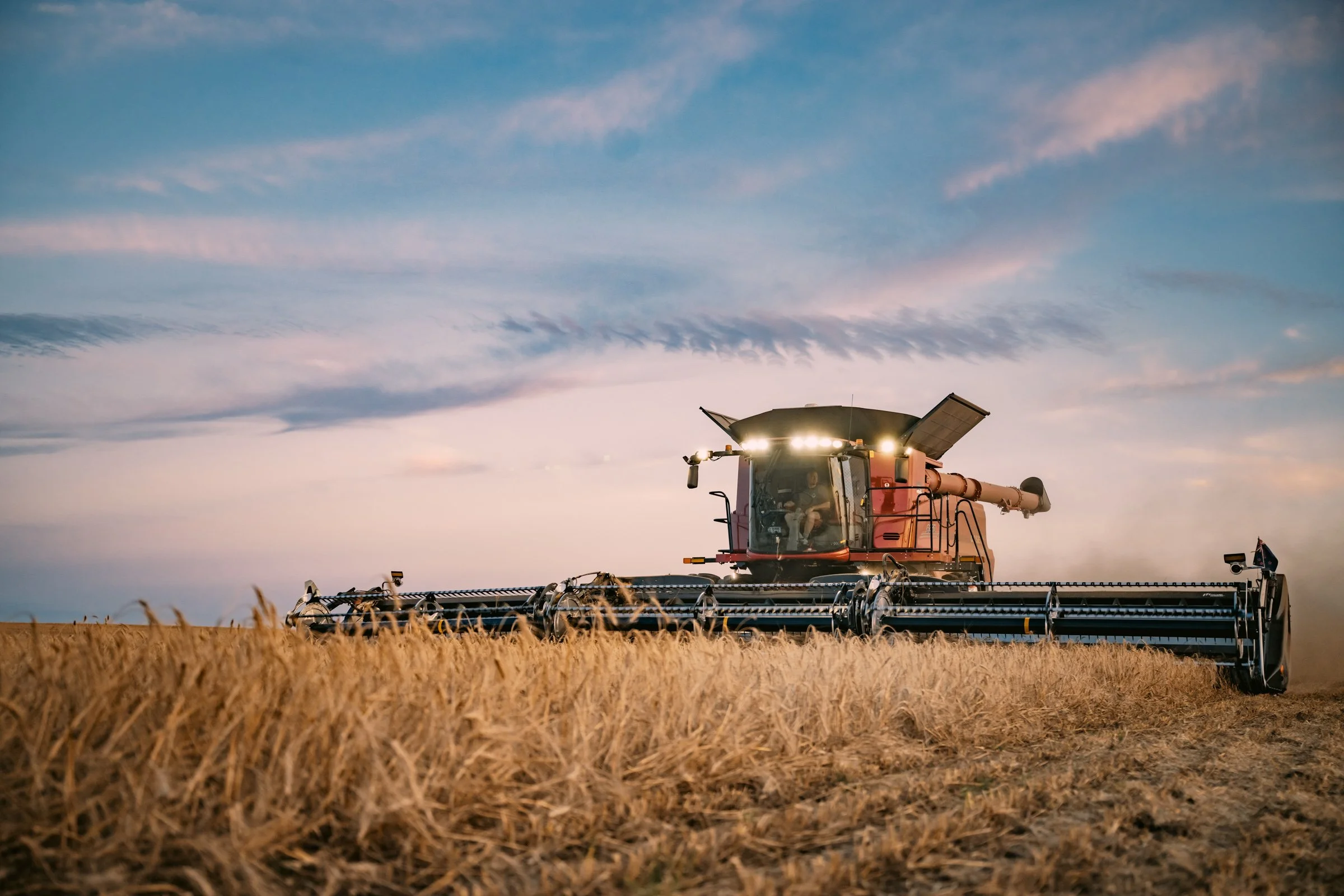 A large red combine harvester working in a wheat field during sunset.