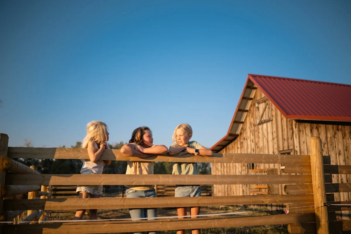 Three children leaning on a wooden fence in front of a barn on a farm during sunset.