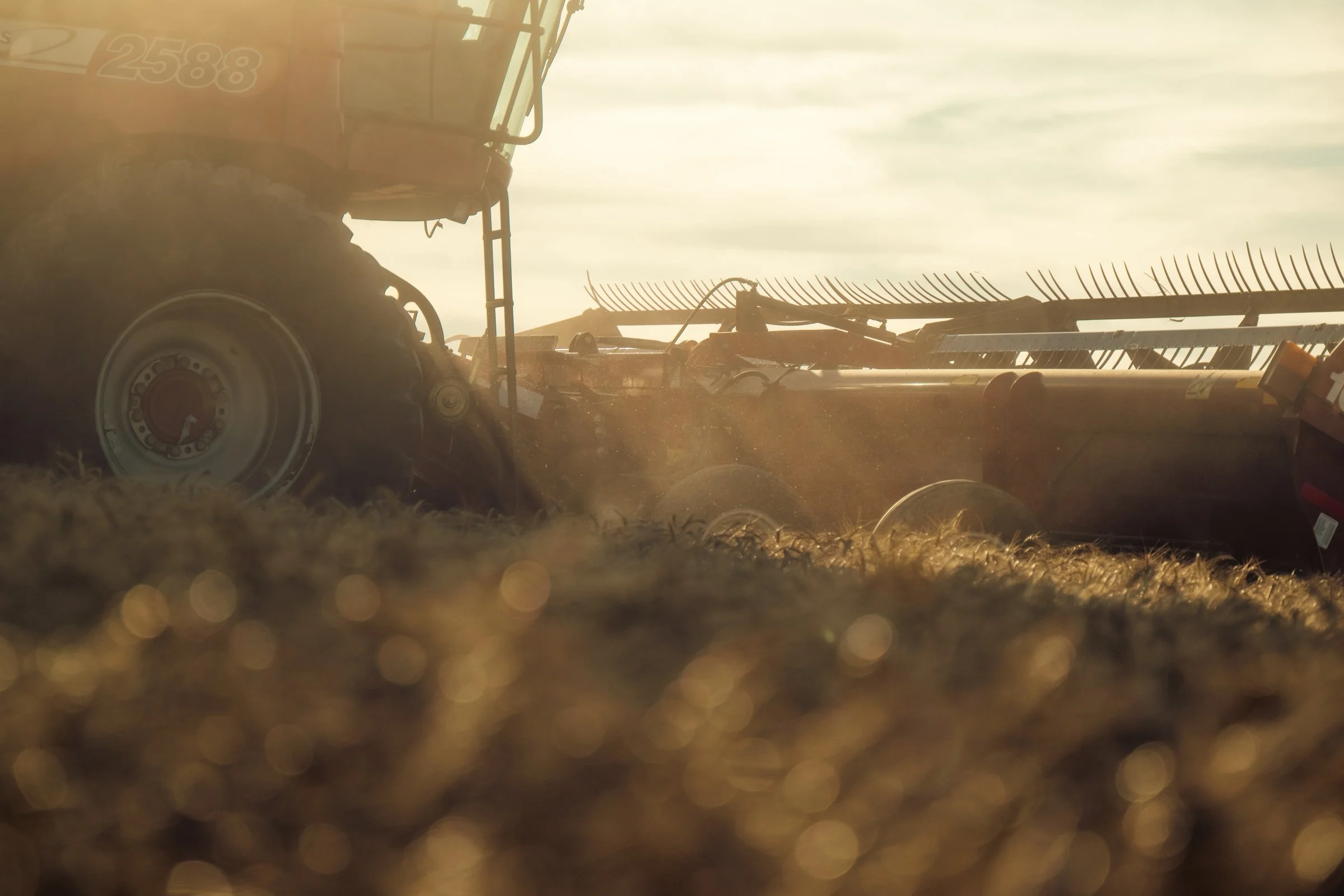 Close-up of a tractor working in a field during sunset.