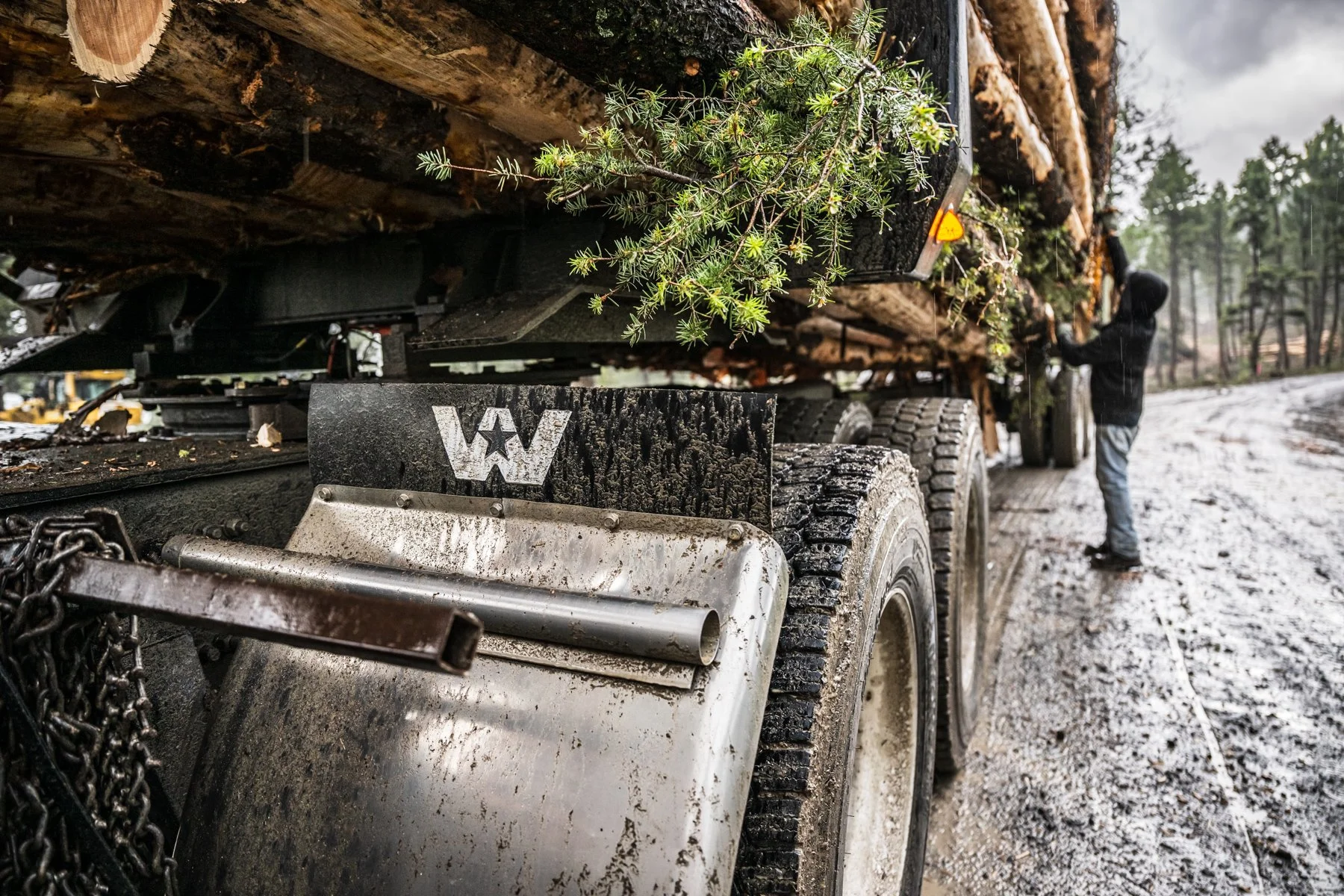 IM2024_WST_LonePineLogging_1180.jpg