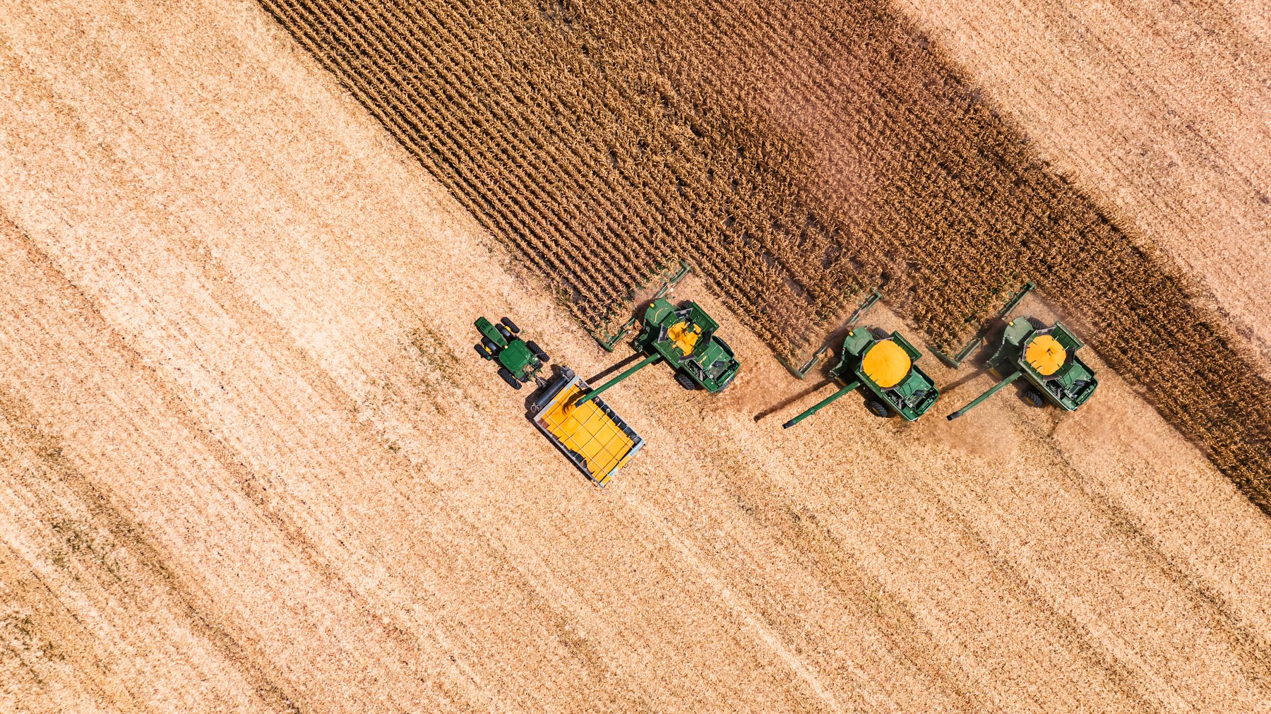 Aerial view of a wheat harvest with three large green combine harvesters working in a field, along with a tractor and a trailer, during daytime.