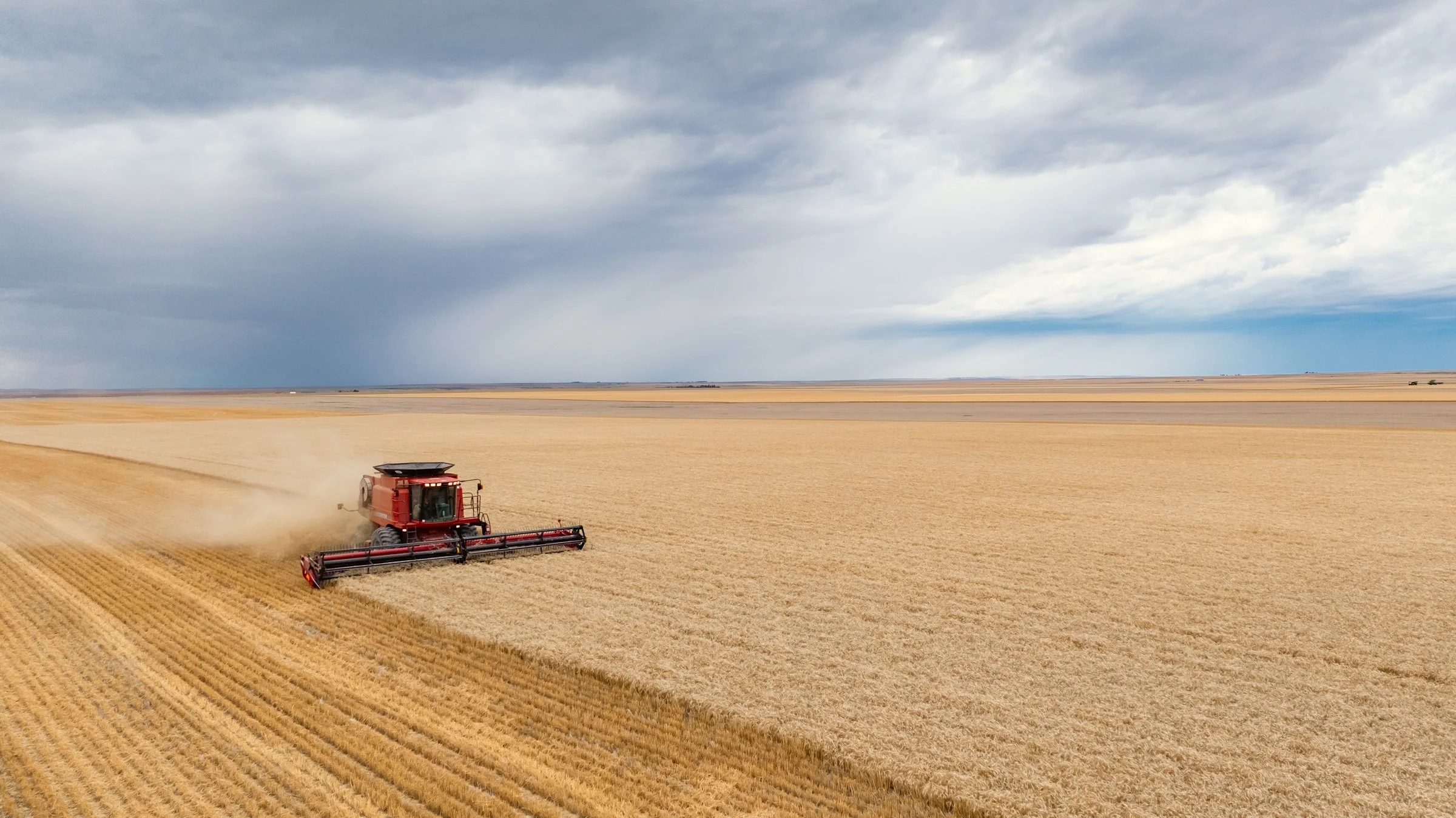 A red combine harvester working in a large golden wheat field under a cloudy sky.
