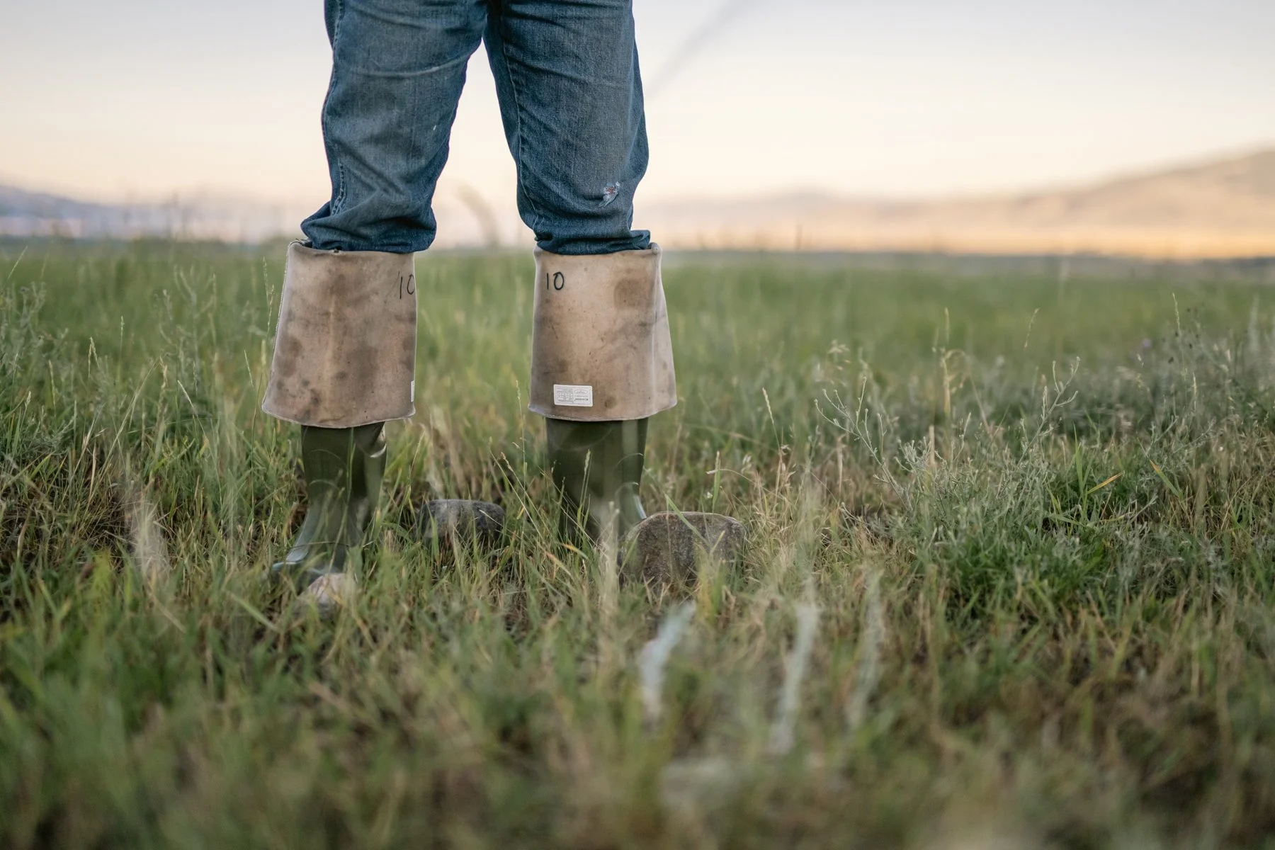 Person standing in a grassy field wearing rubber boots and chaps, with rolling hills in the background.