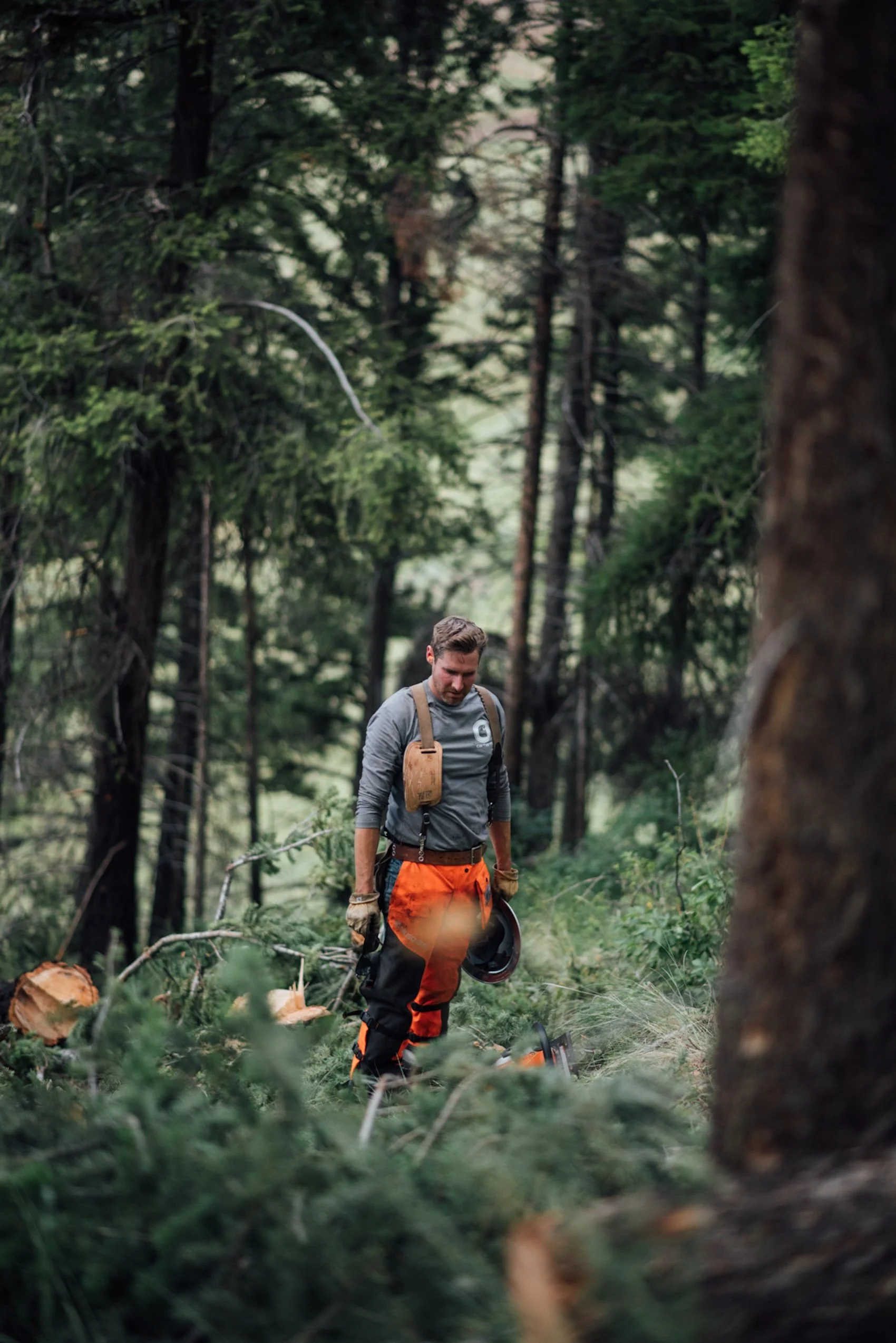 A man walking through a forested area with tall trees, carrying equipment including a helmet and gloves, suggesting outdoor work or exploration.