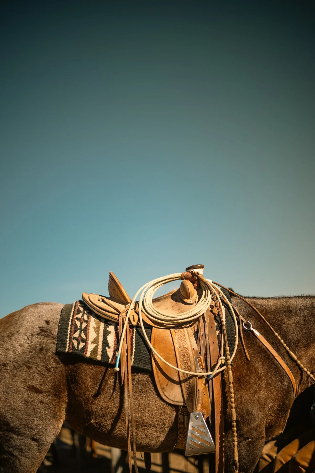 A close-up of a saddle on a horse with a clear blue sky in the background.