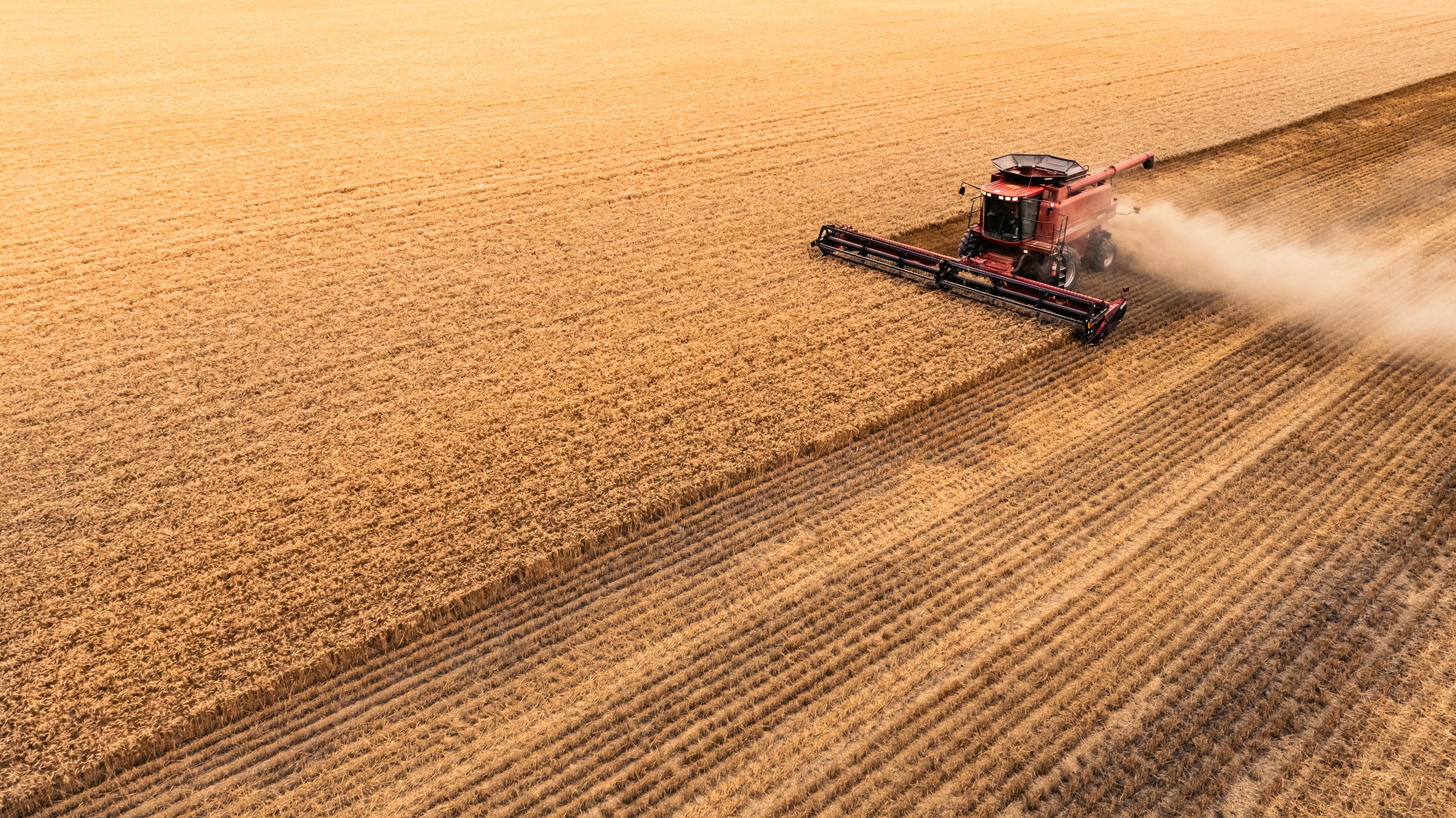Aerial view of a red combine harvester working in a golden wheat field, harvesting crops under a clear sky.