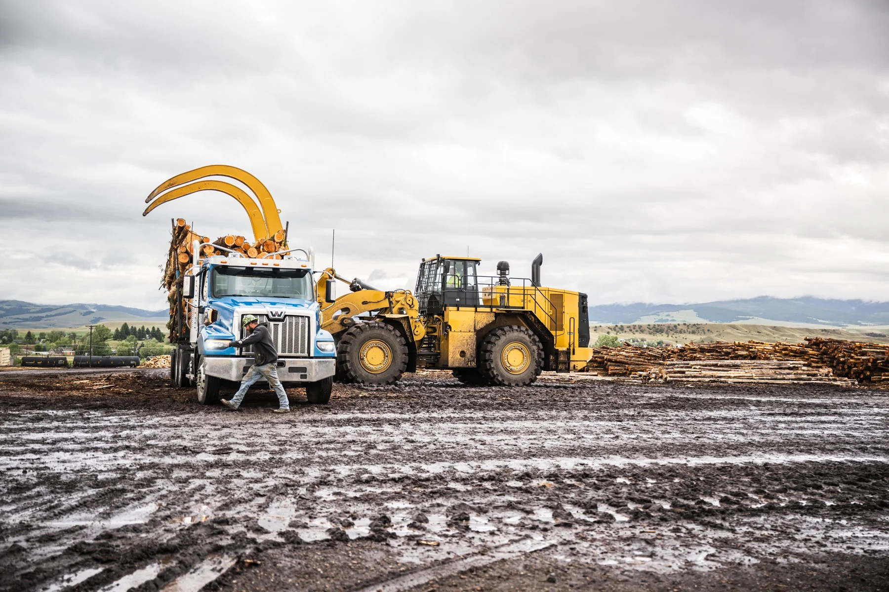 A construction site with a person standing next to a large dump truck filled with logs, a front loader moving logs, and stacks of logs in the background on muddy ground under a cloudy sky.
