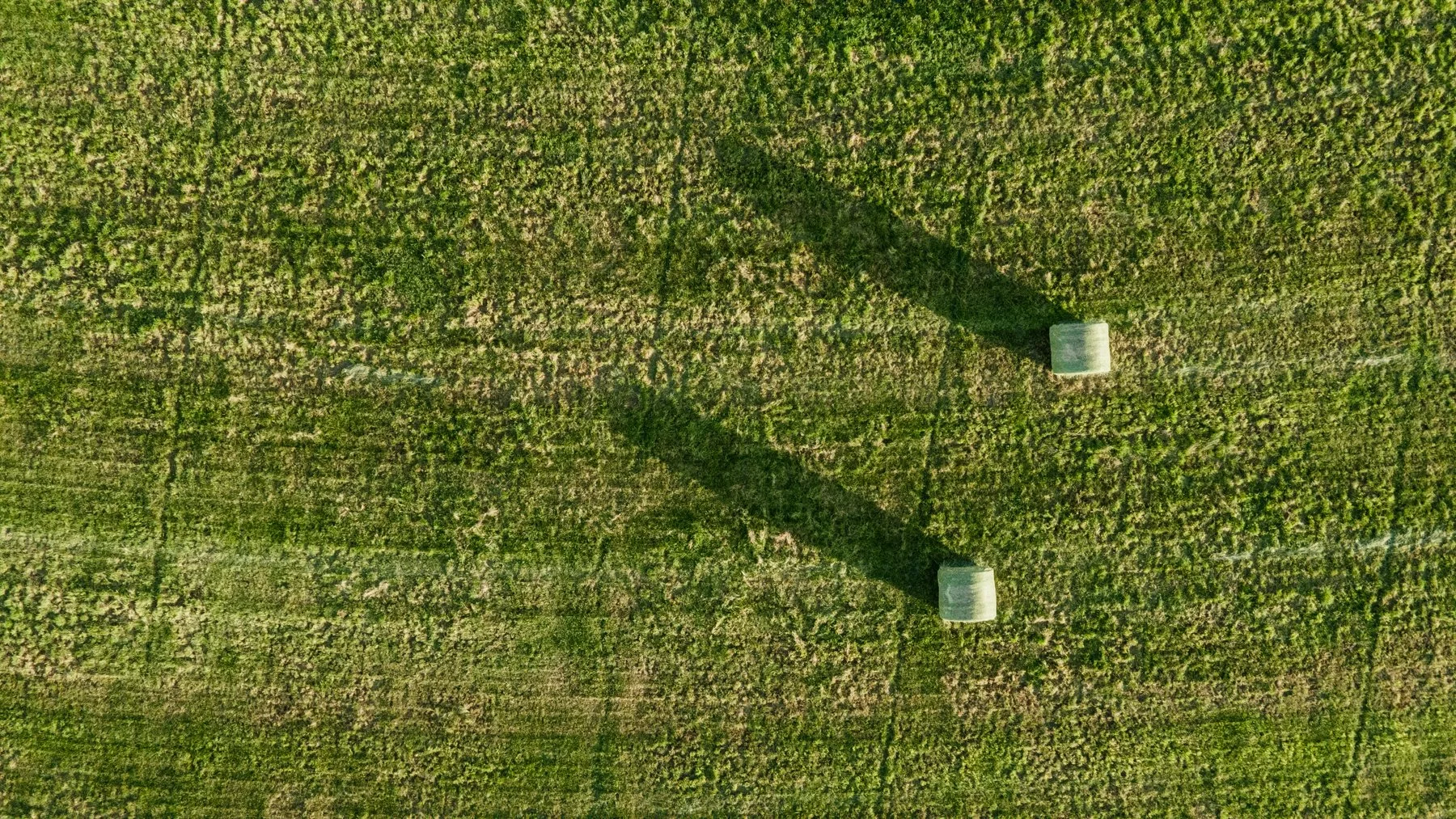 An aerial view of a green field with two silos casting long shadows.