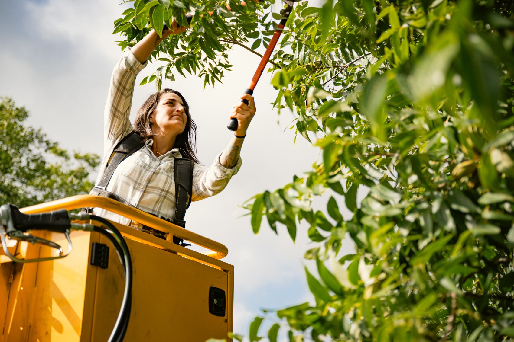 A woman in a plaid shirt and black backpack pruning green leaves on a tree using pruning shears, standing in a yellow cherry picker against a cloudy sky.