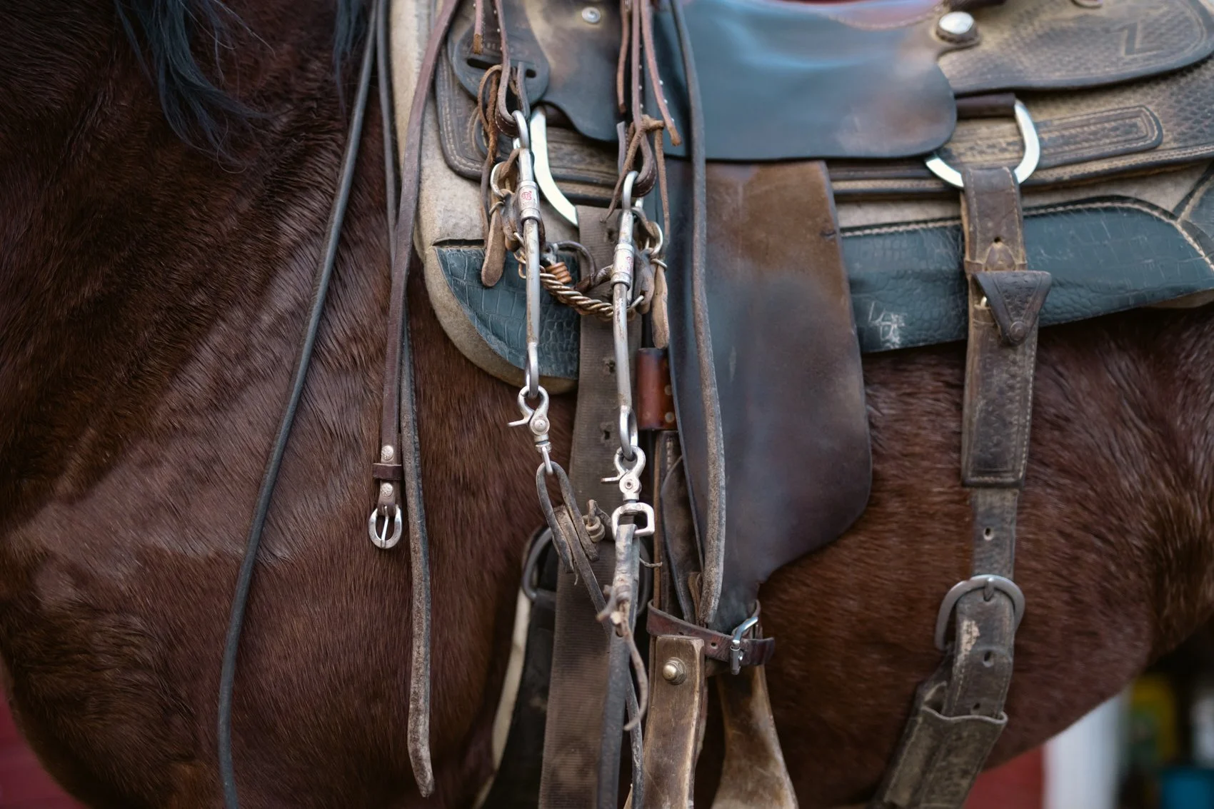 Close-up of a brown horse with a collection of metal and leather riding equipment hanging on or attached to its saddle.
