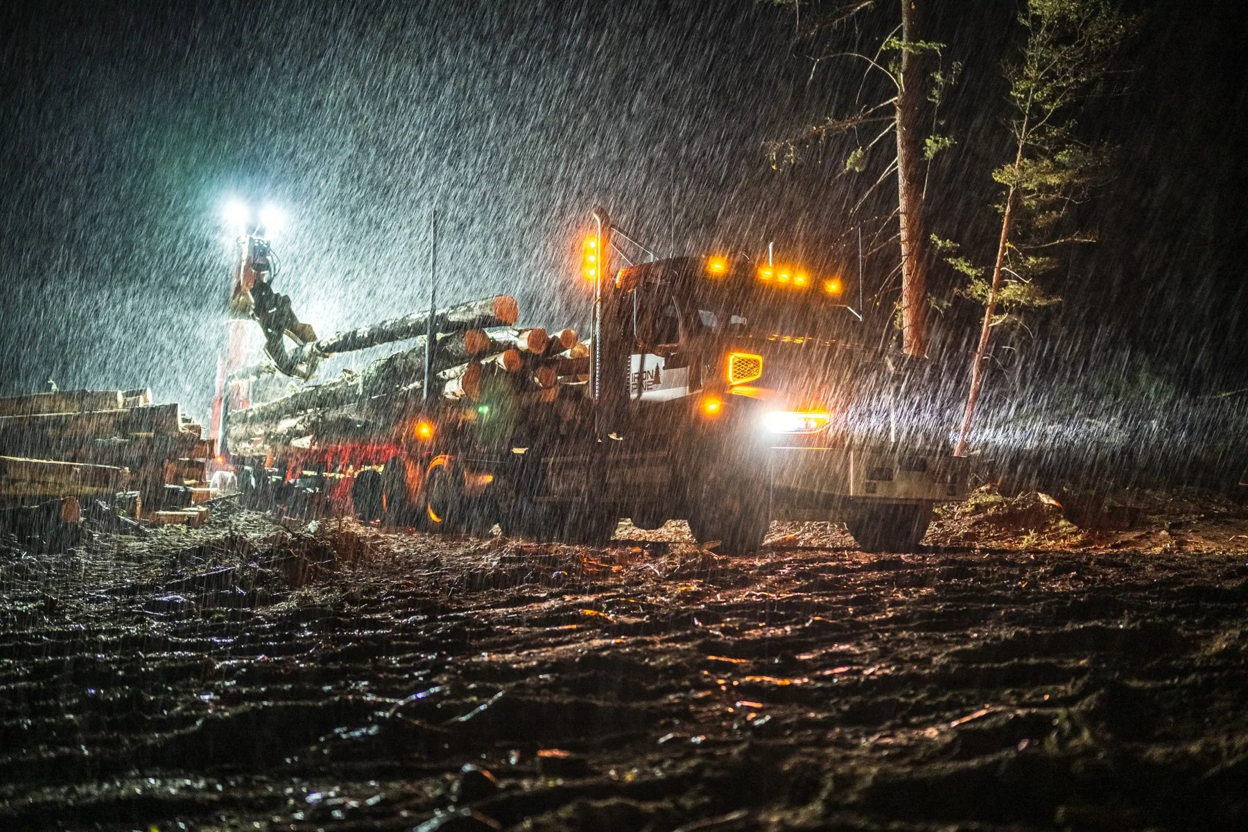 A logging truck with orange lights on a rainy night, carrying cut logs on its flatbed with trees in the background.