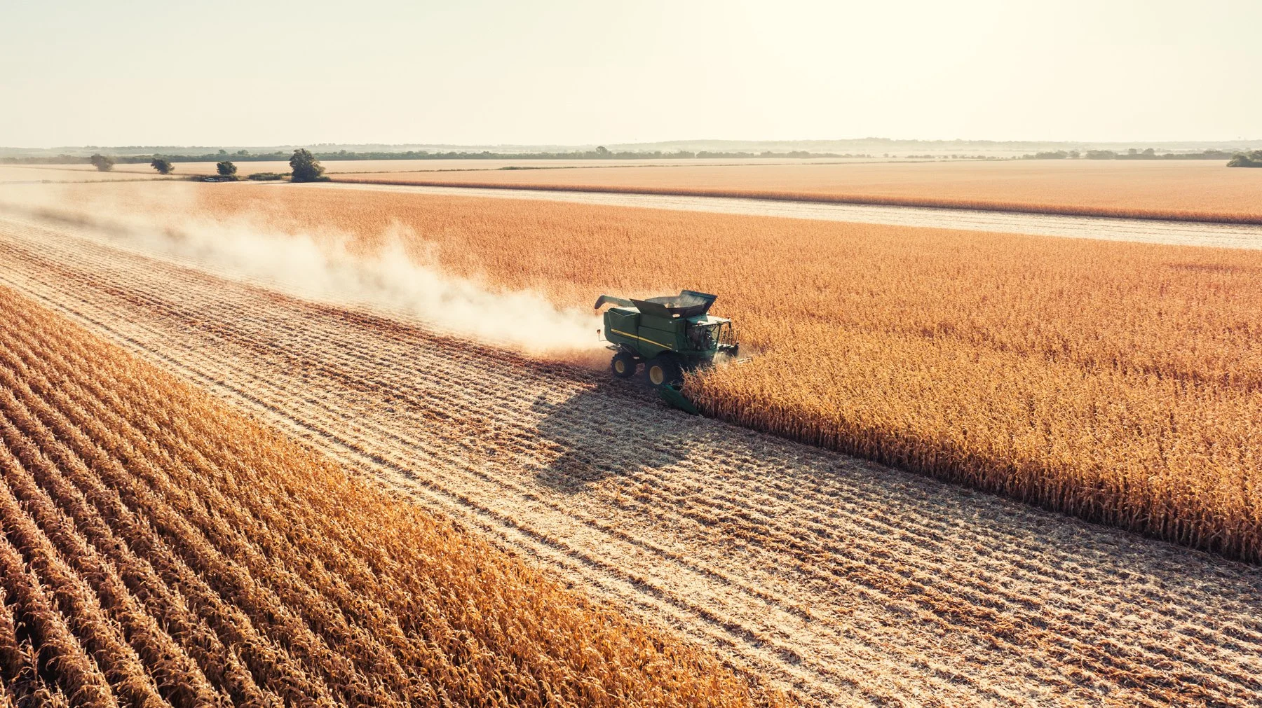 A combine harvester working in a large wheat field during sunset, dust being kicked up behind it.