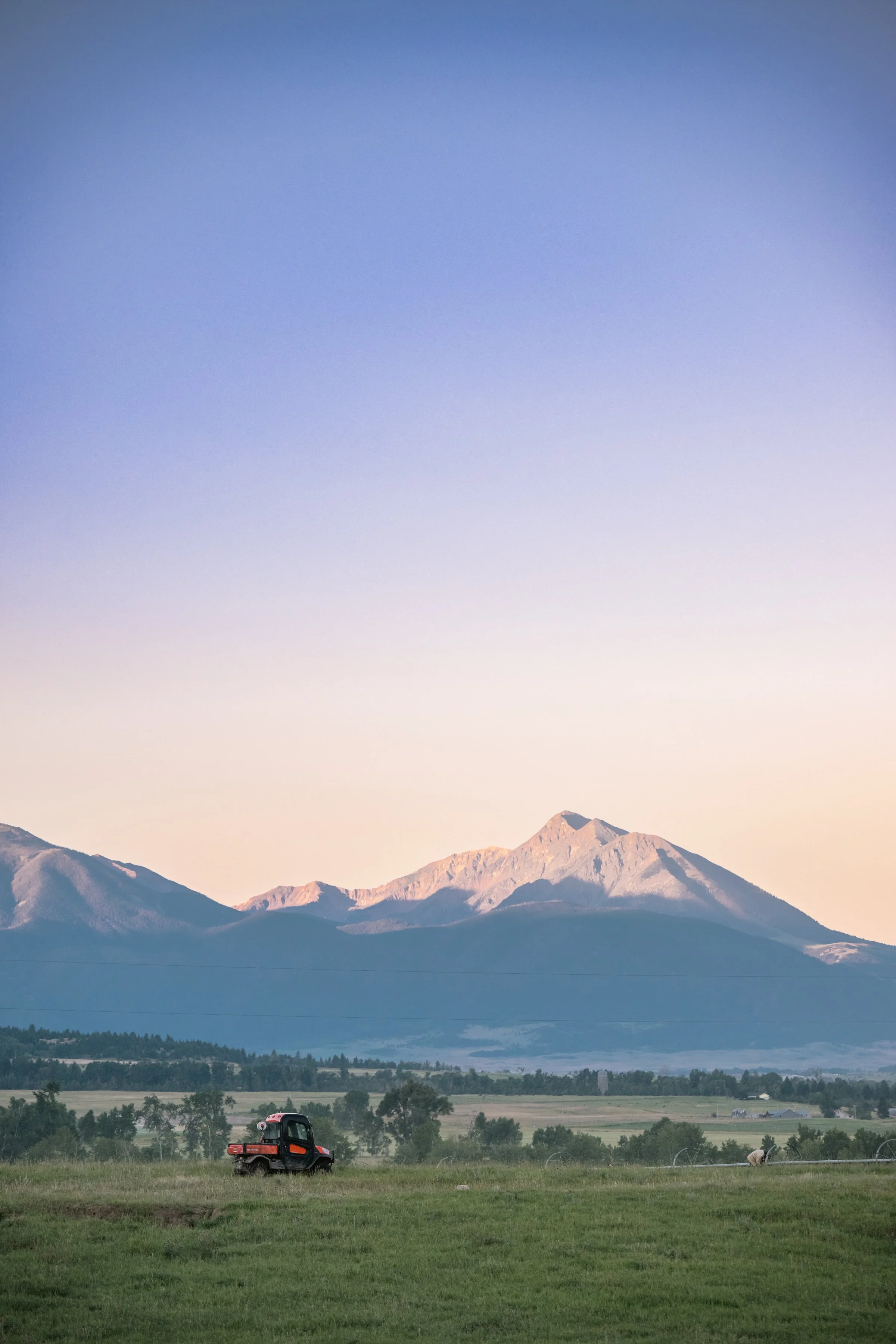 A wide landscape view of green fields with a small black red utility vehicle in the foreground, grazing sheep, and distant mountains in the background under a clear evening sky.