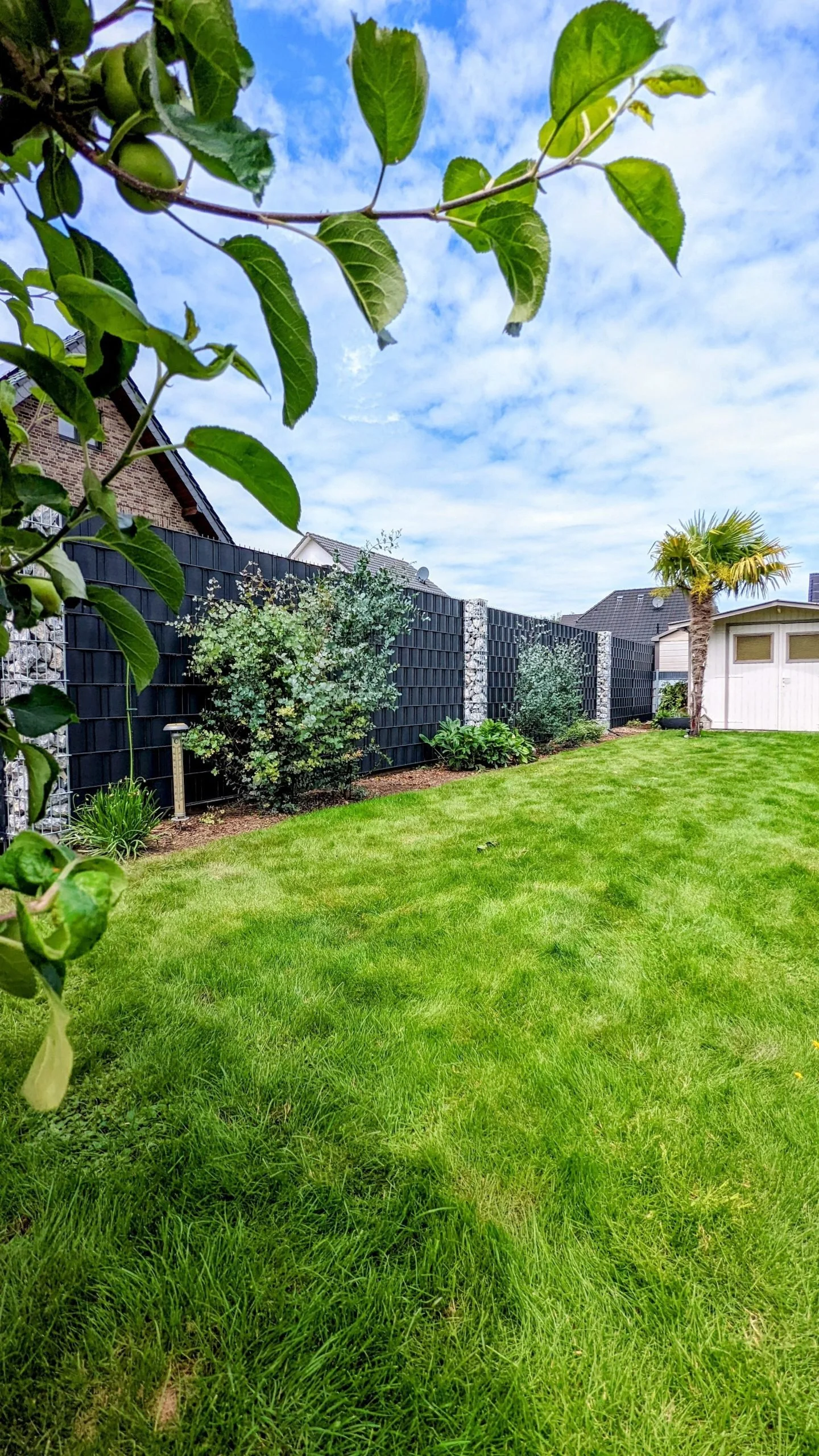 Ein gepflegter Garten mit grünem Rasen, Bäumen, einem schwarzen Lattenzaun, einem kleinen Gartenhaus und einem Palmenbaum bei bewölktem Himmel.