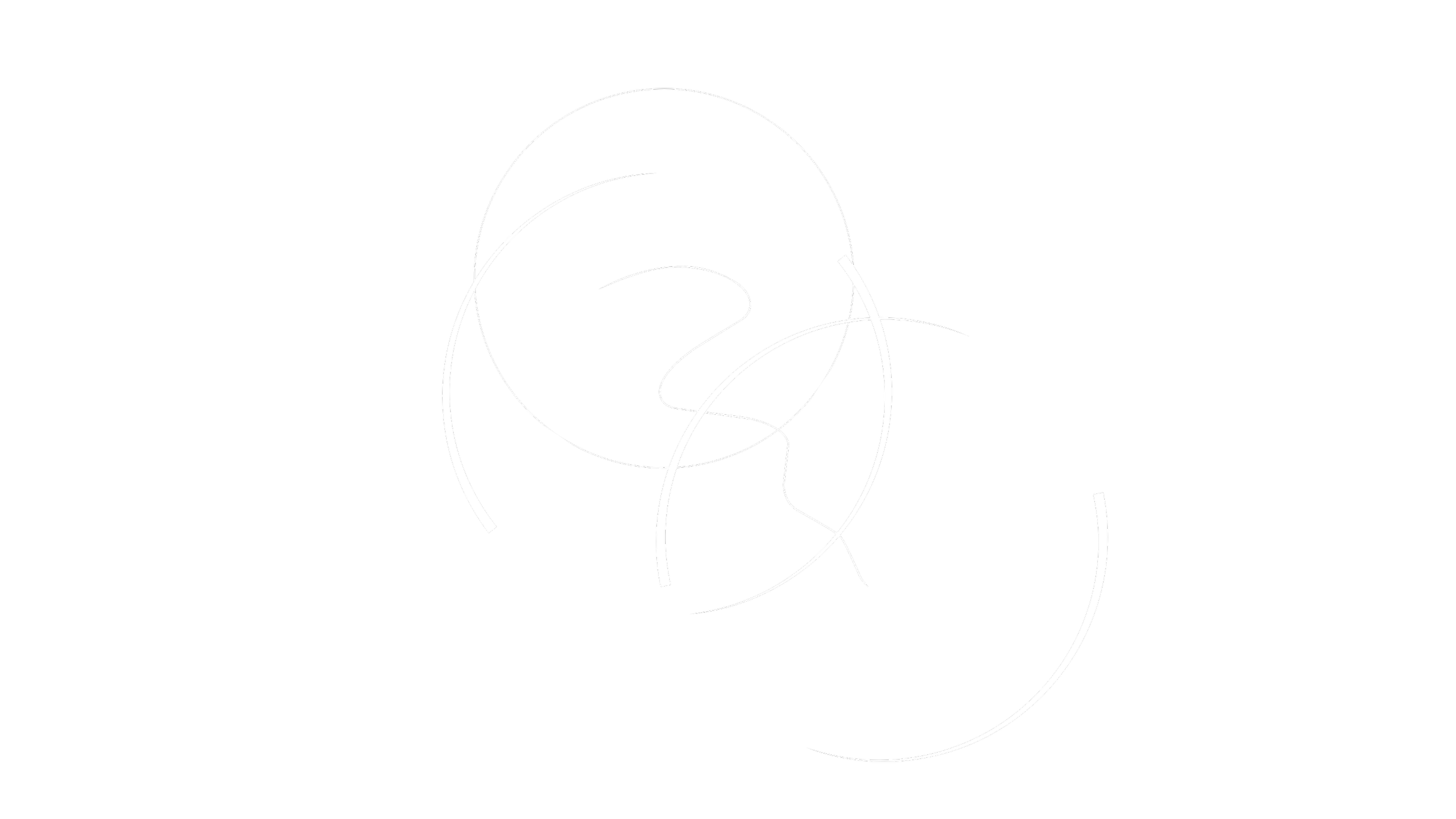 Abstract digital art with white curved lines on a black background.