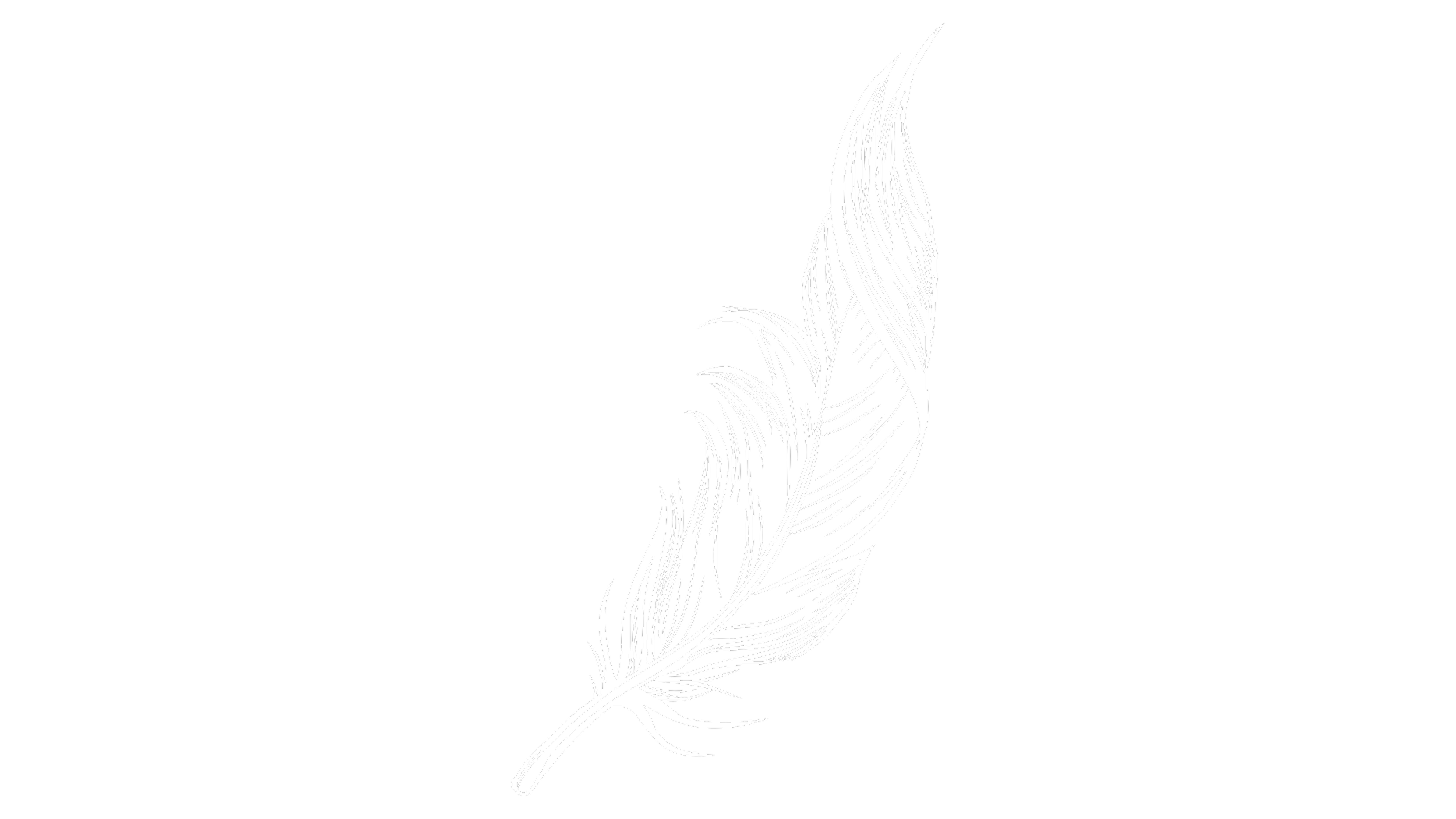 White feather illustration on black background