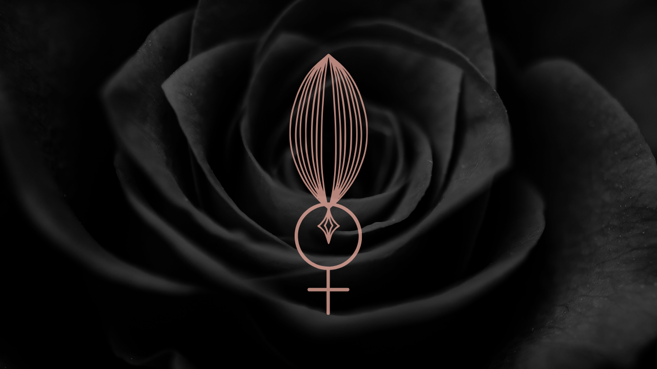 How to Get Started Working With Venus