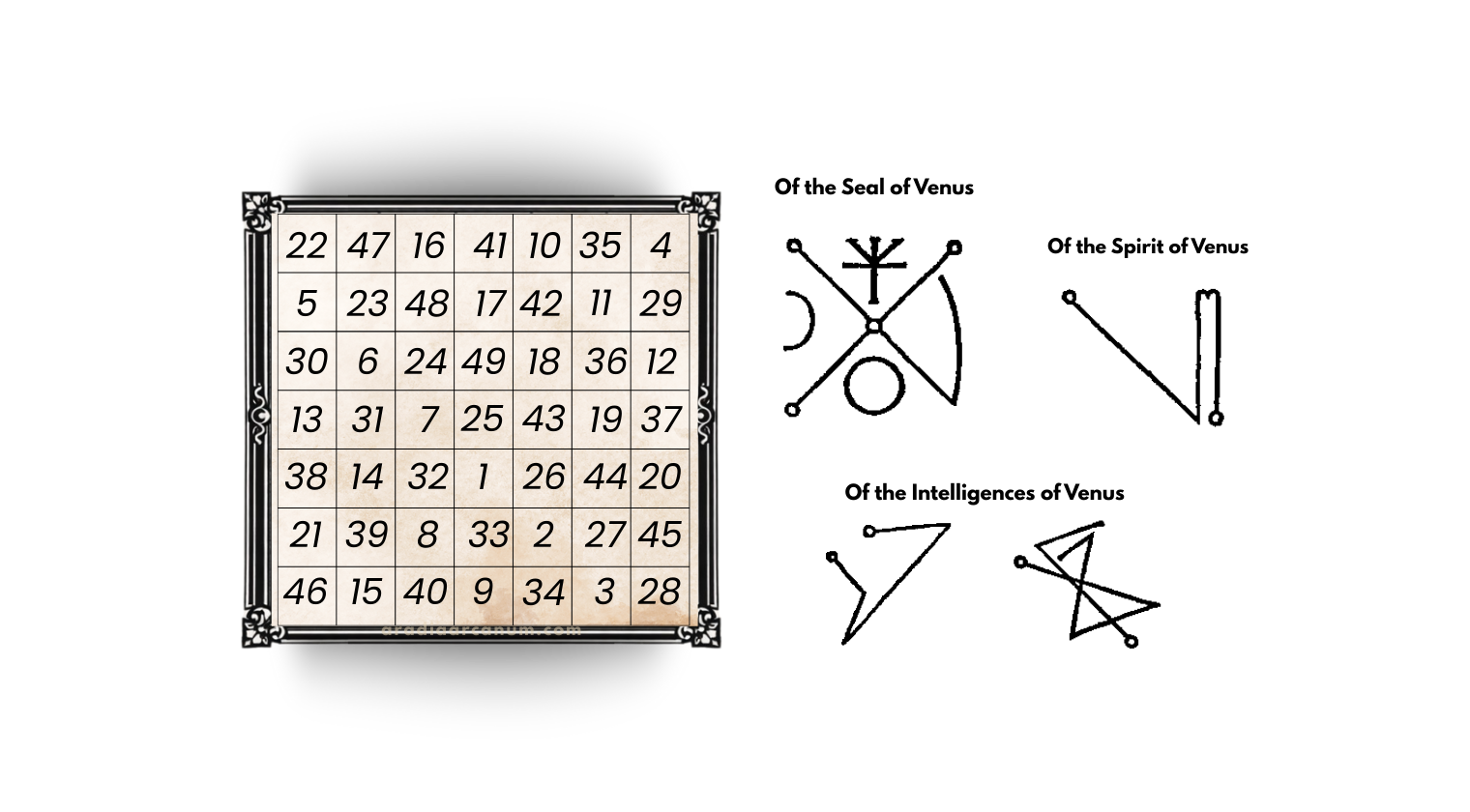 The magic square for Venus