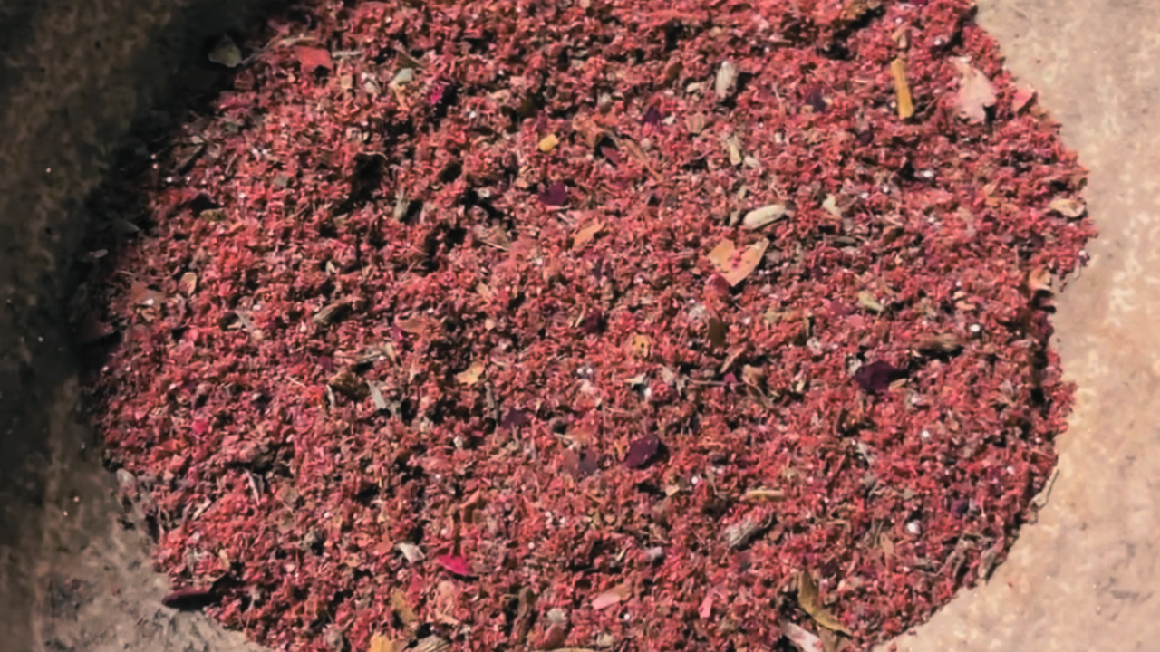 Close-up of a pile of love attraction dried red herbs.