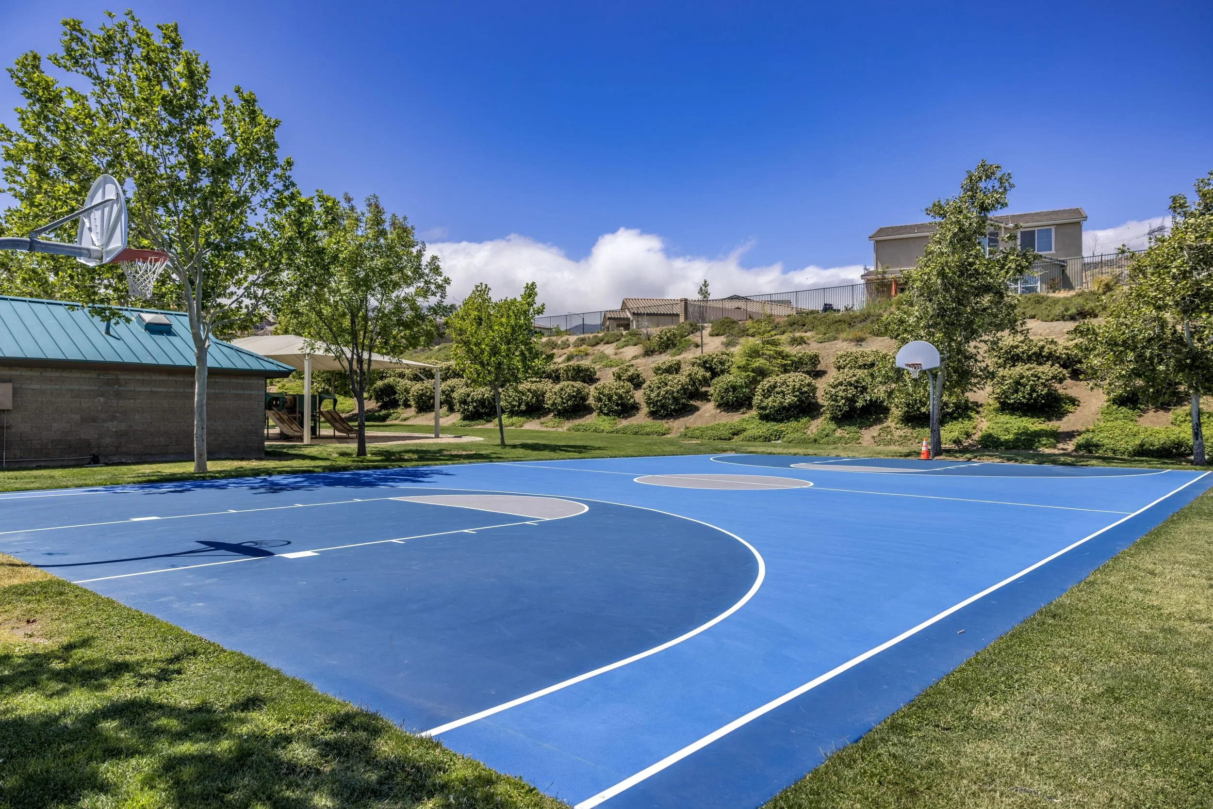 Basketball Court