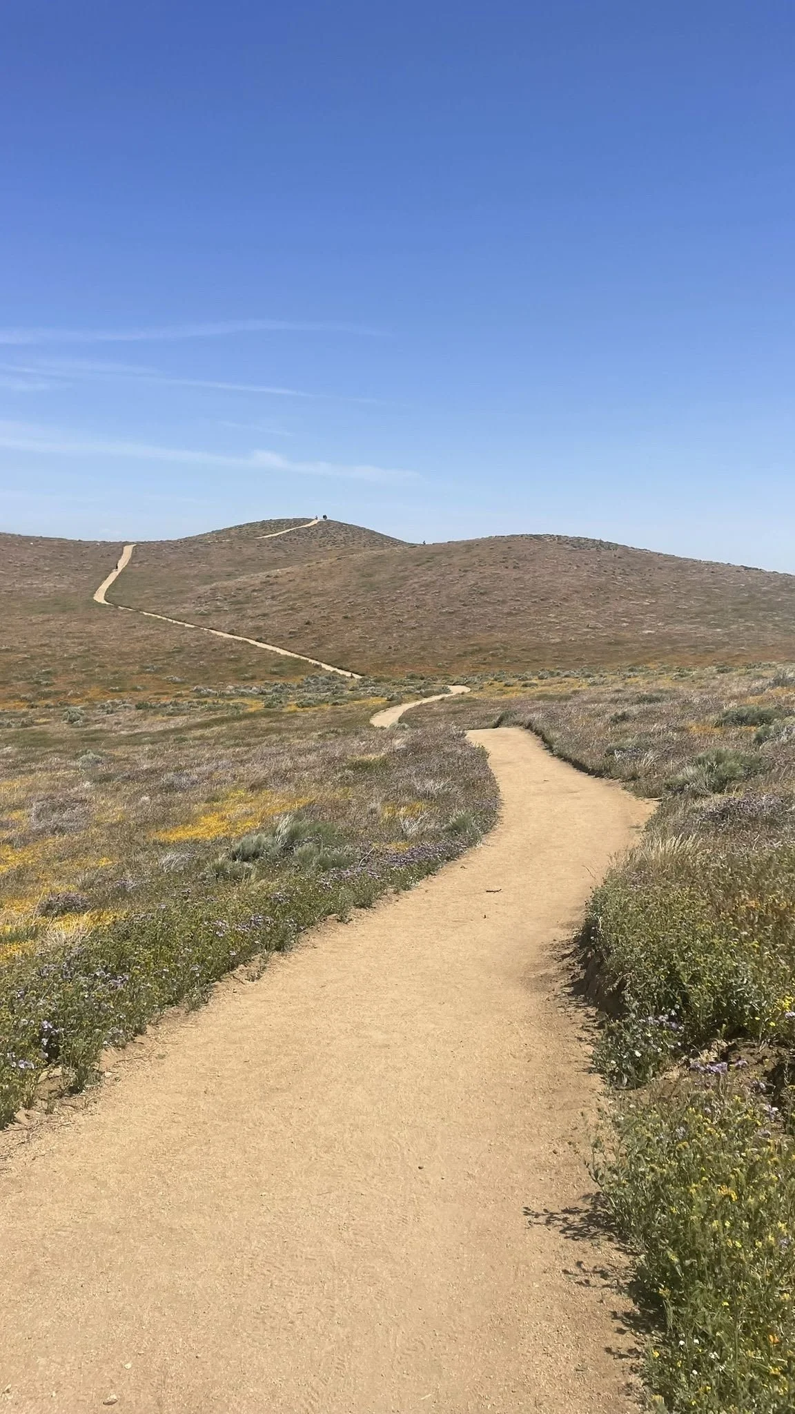 Trail View