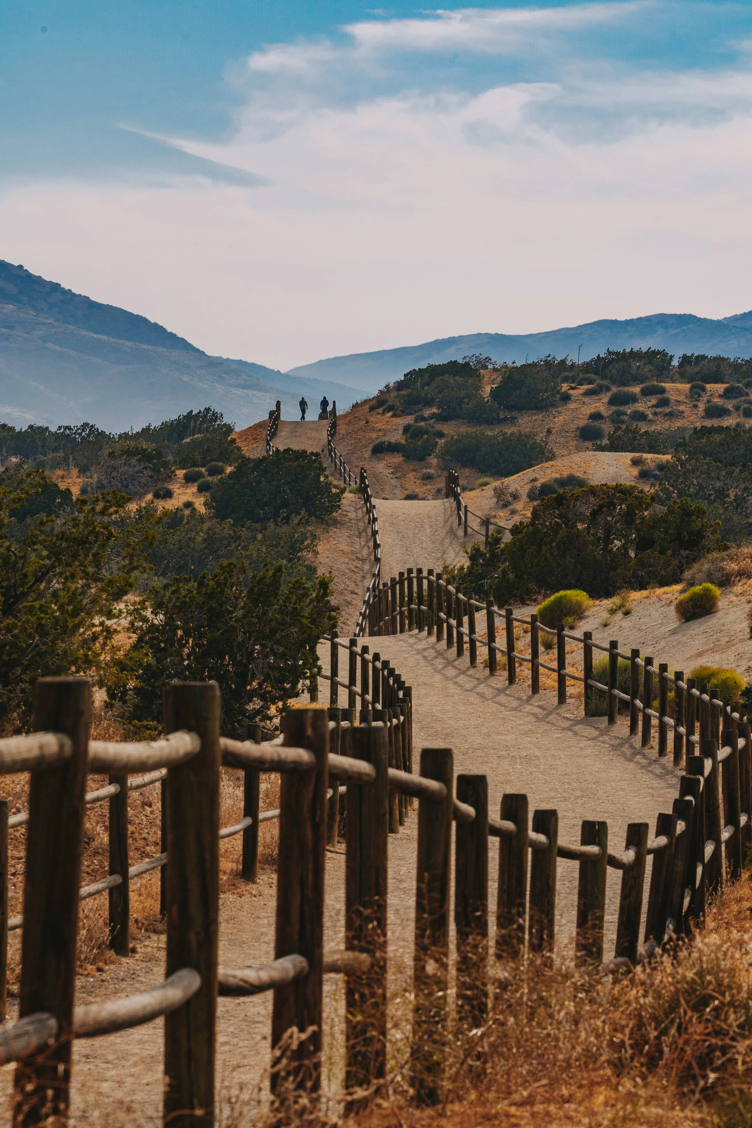 Trail