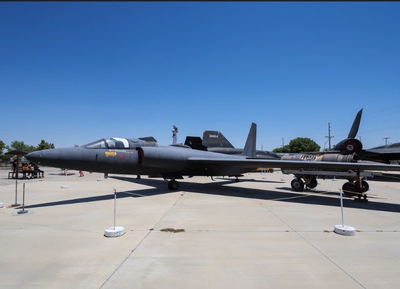 Blackbird