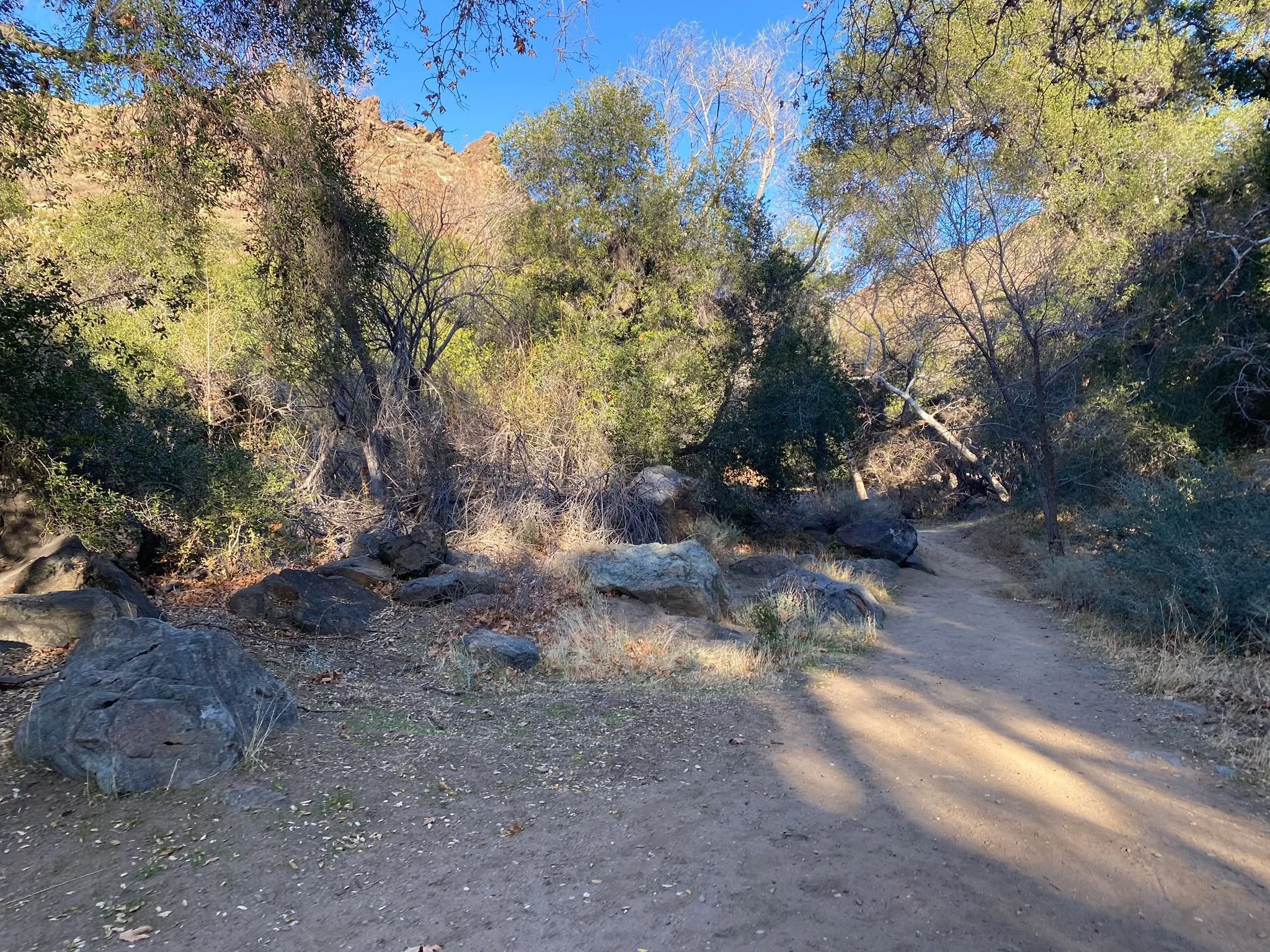 Trail View
