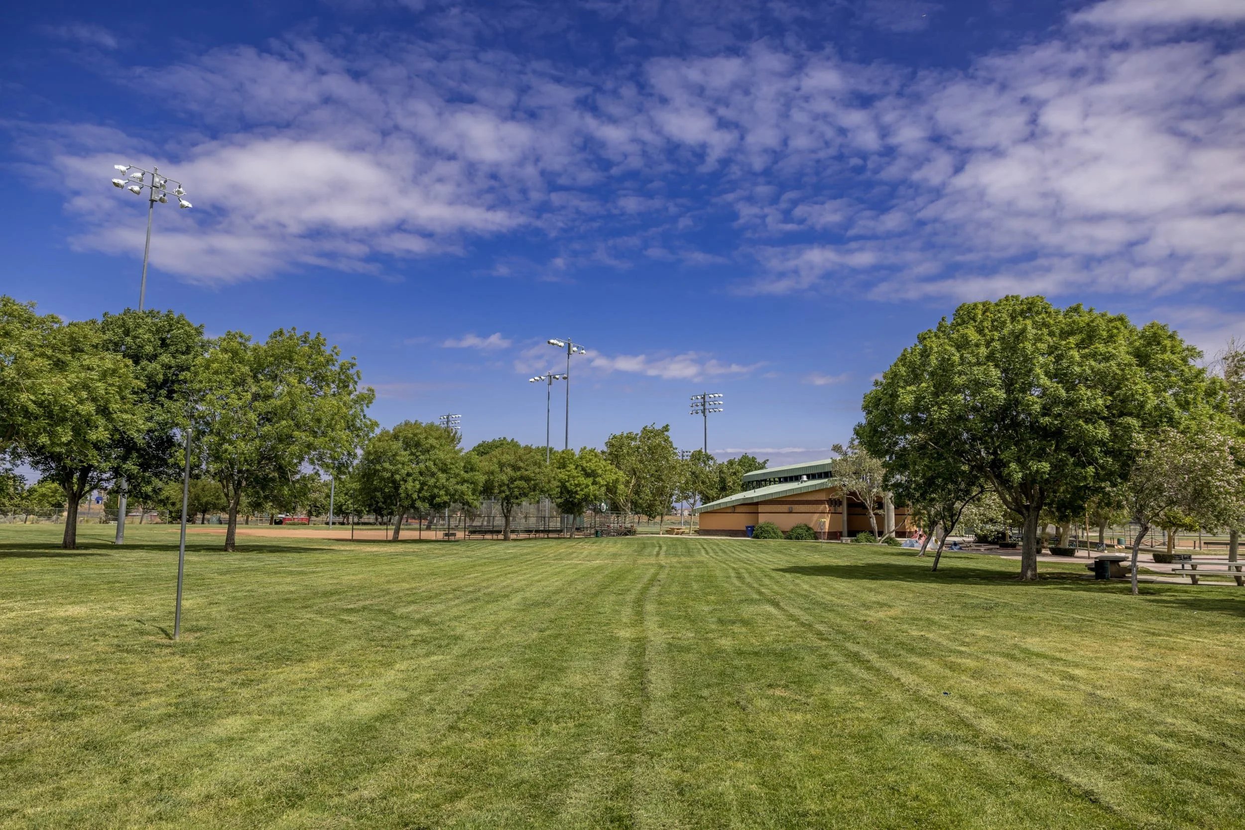 Field