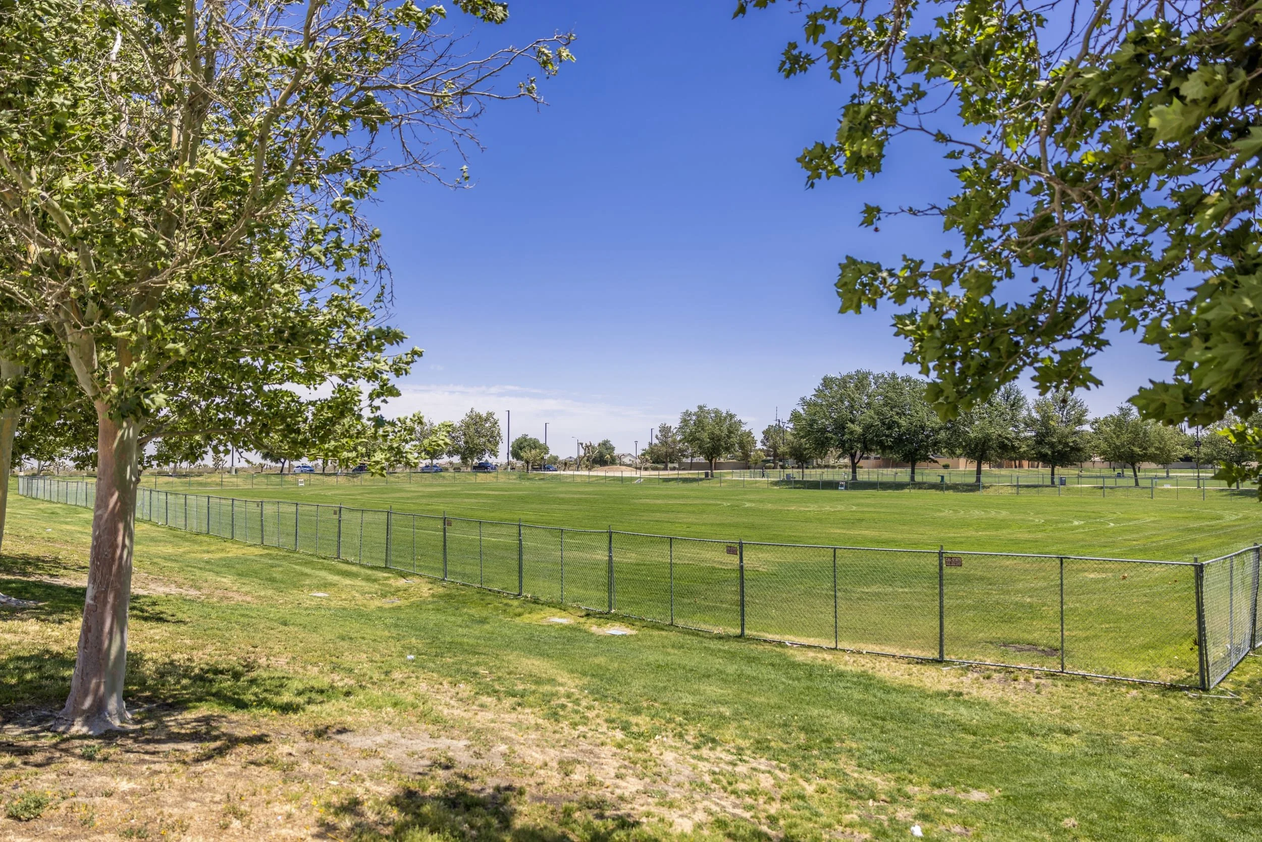 Field