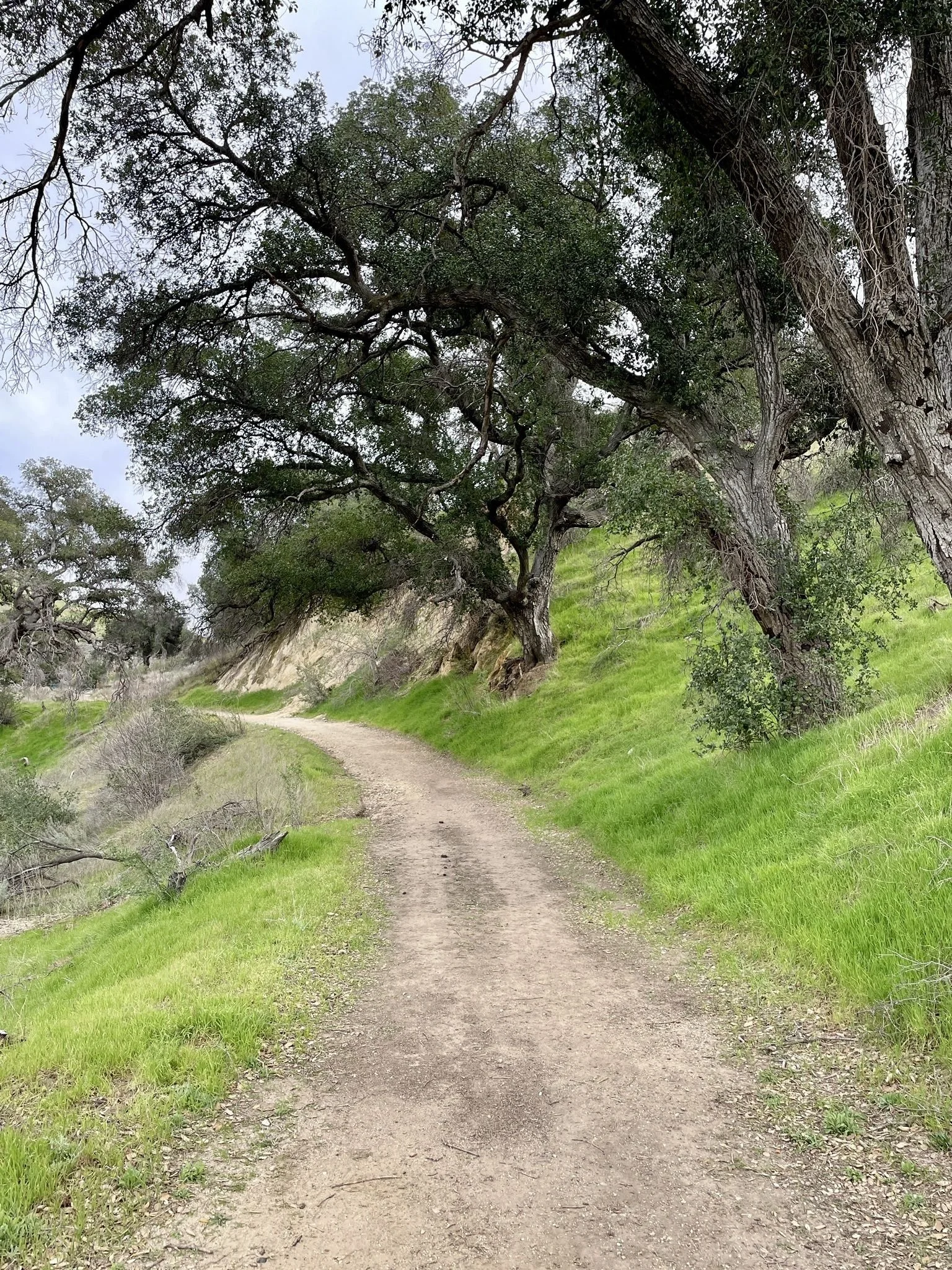 Trail View