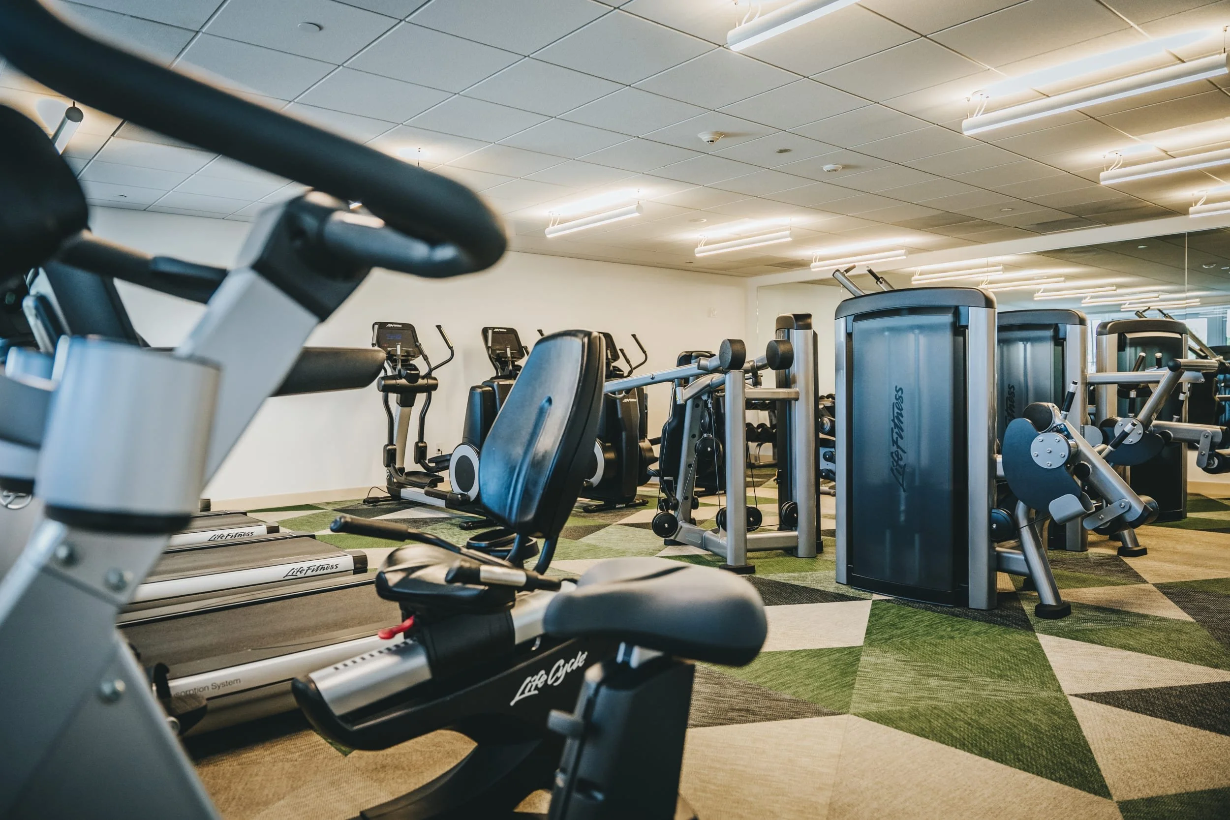 Fitness