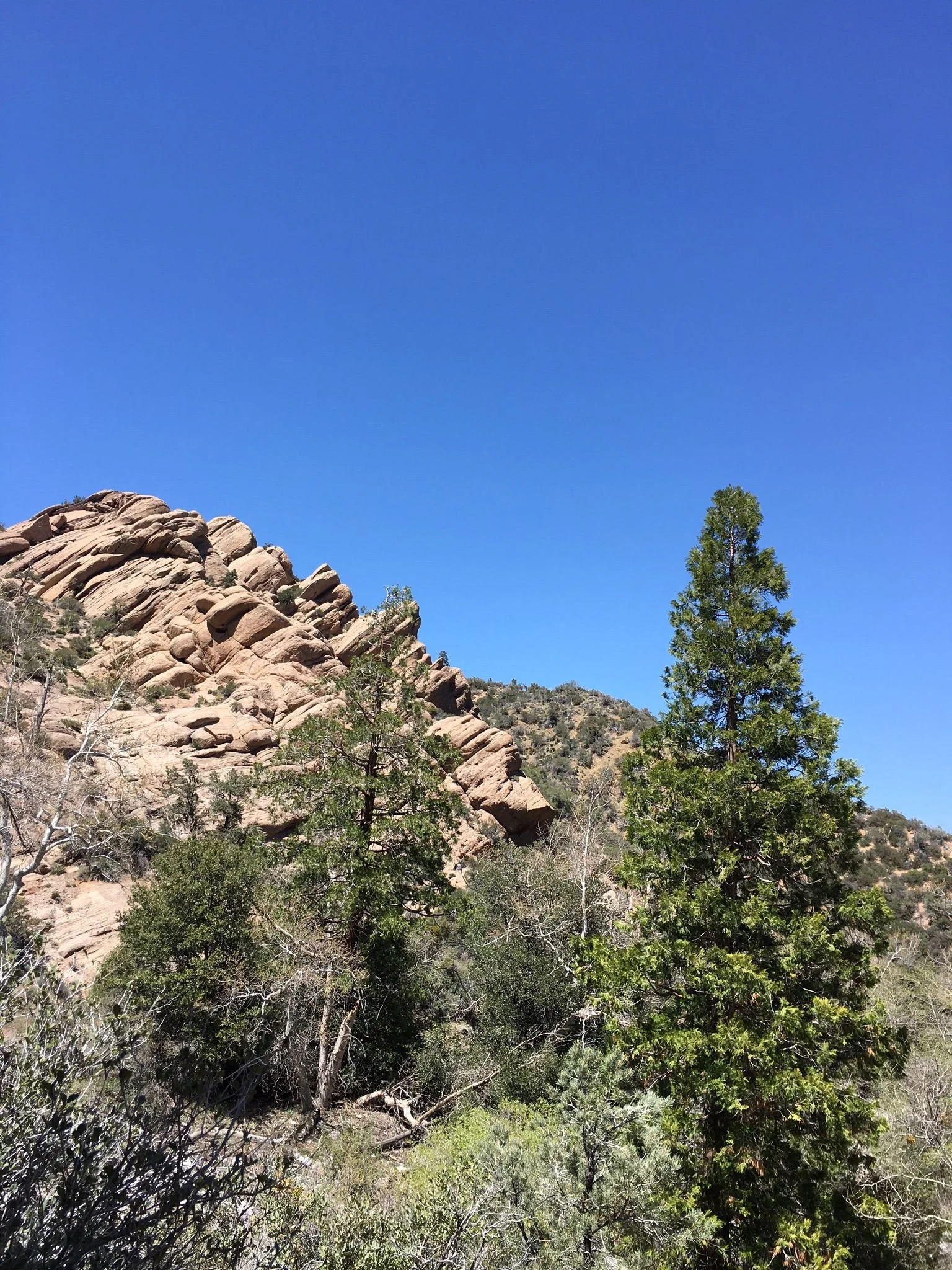 Trail View