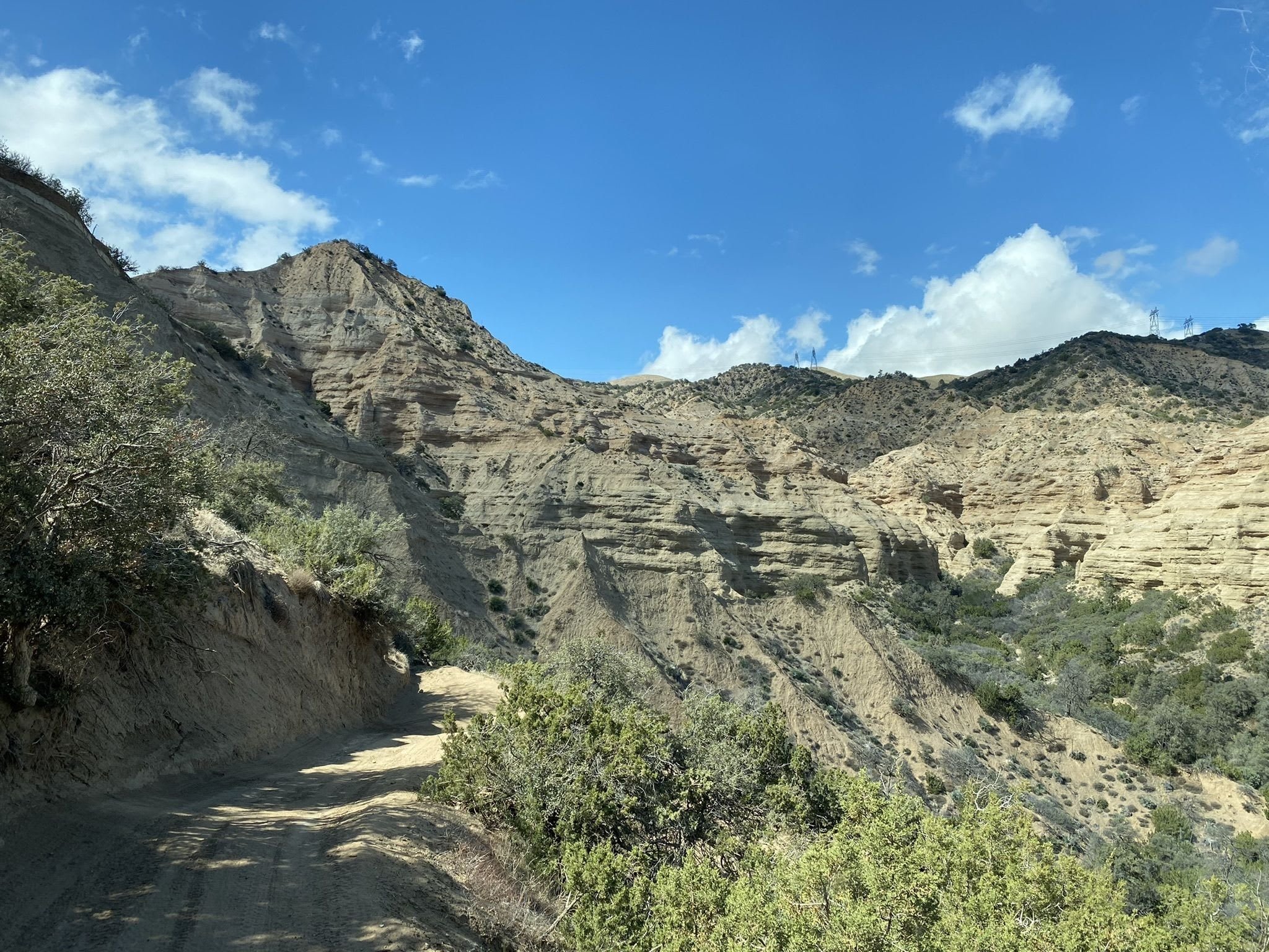 Trail View