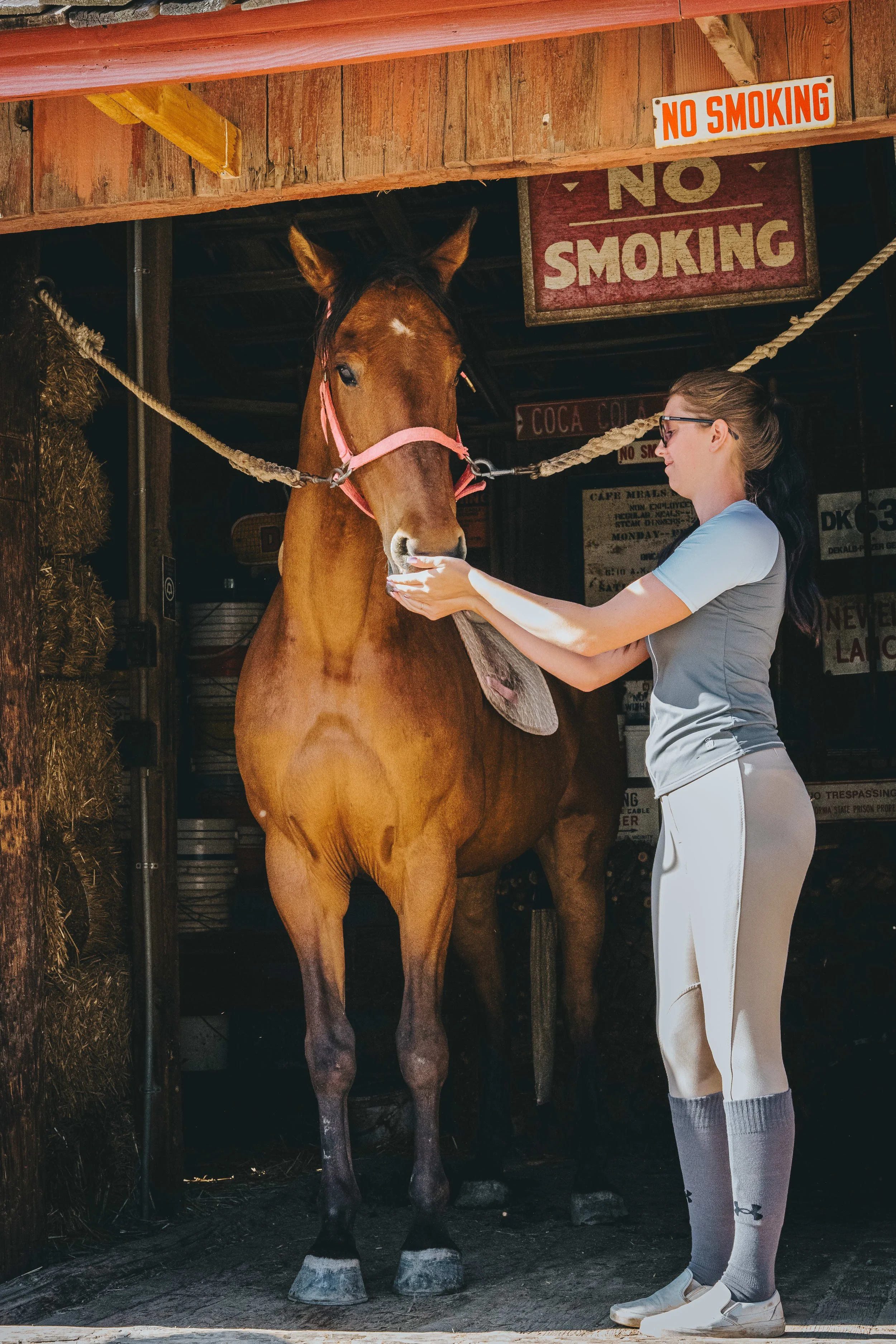Horse