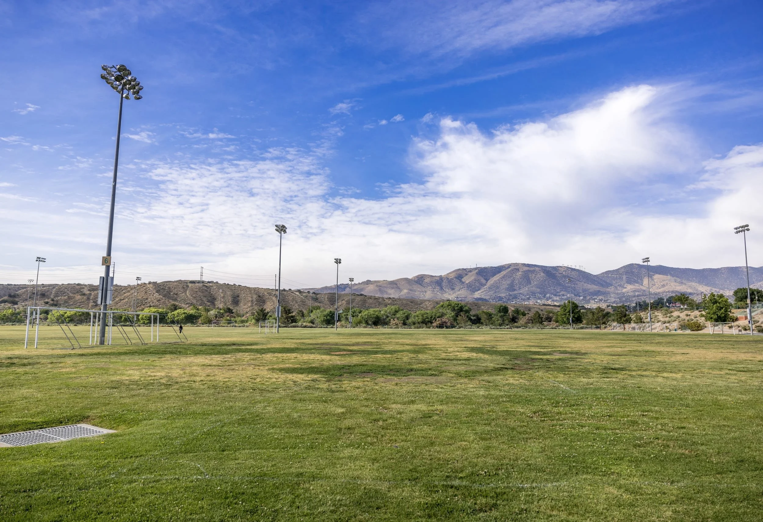 Field
