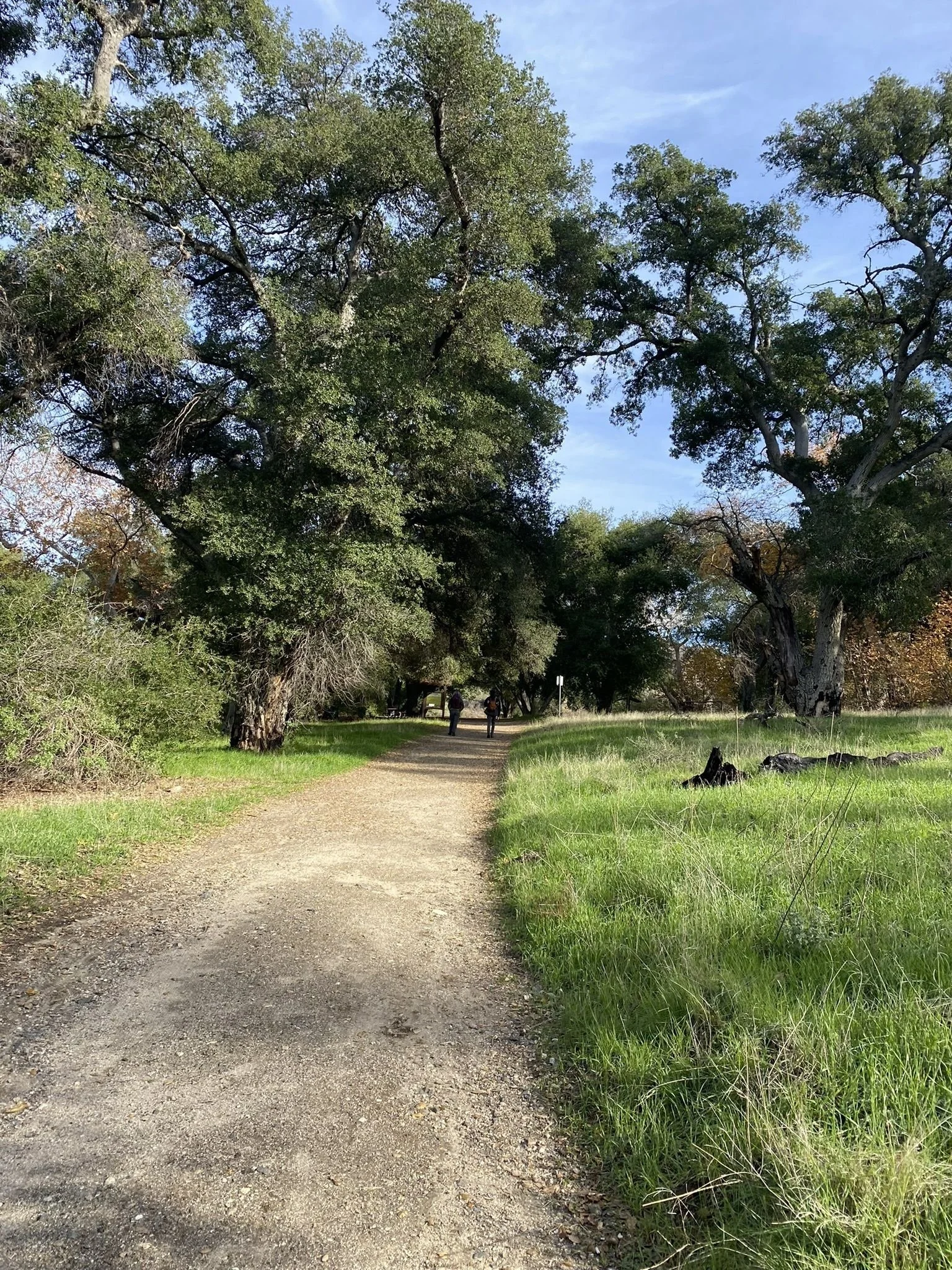 Trail View