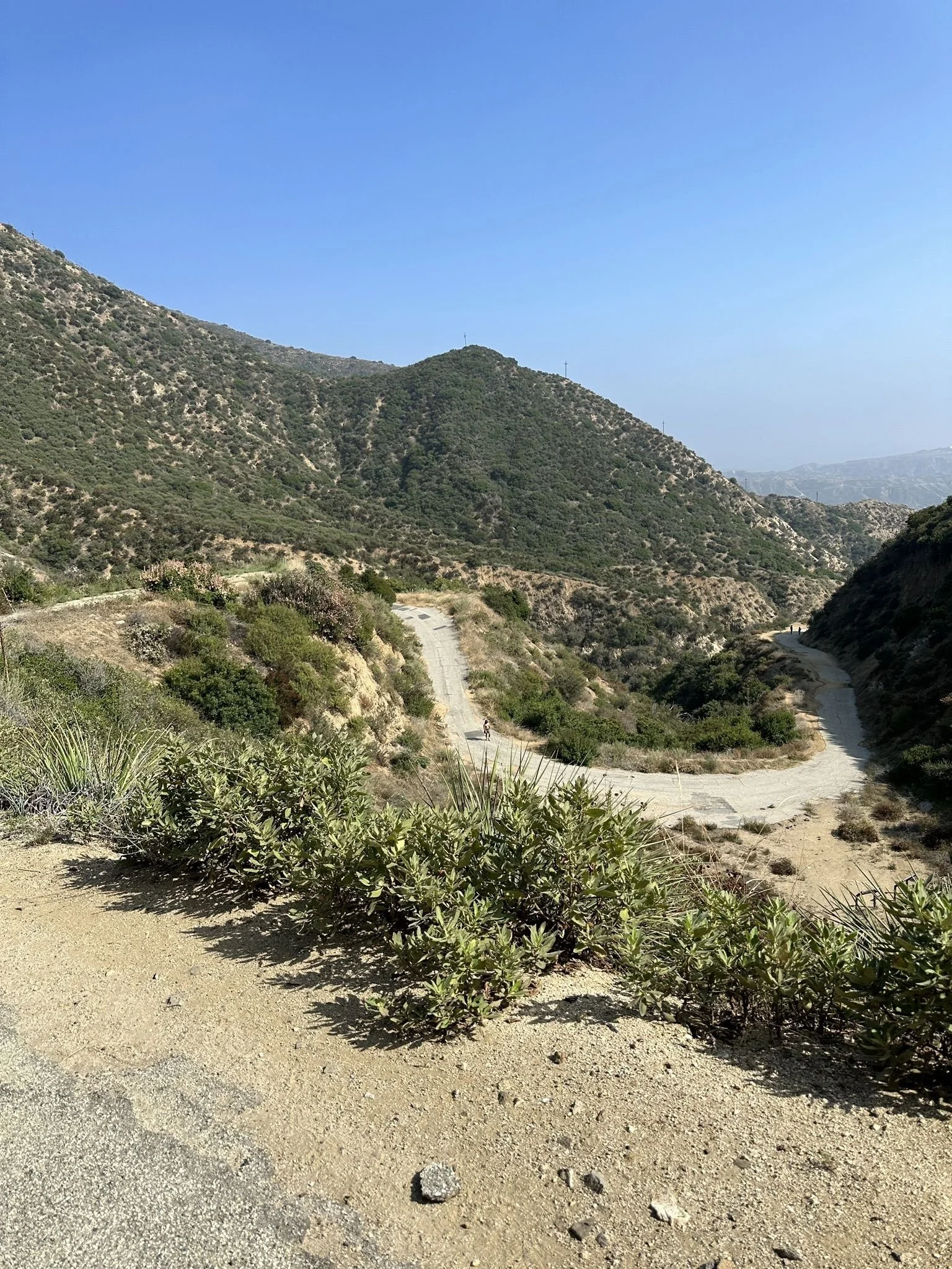 Trail View