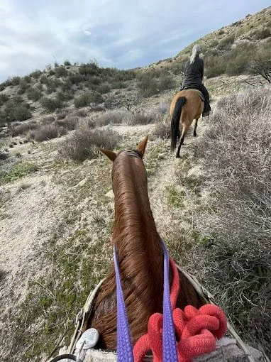 Rainbow Ridge Ranch