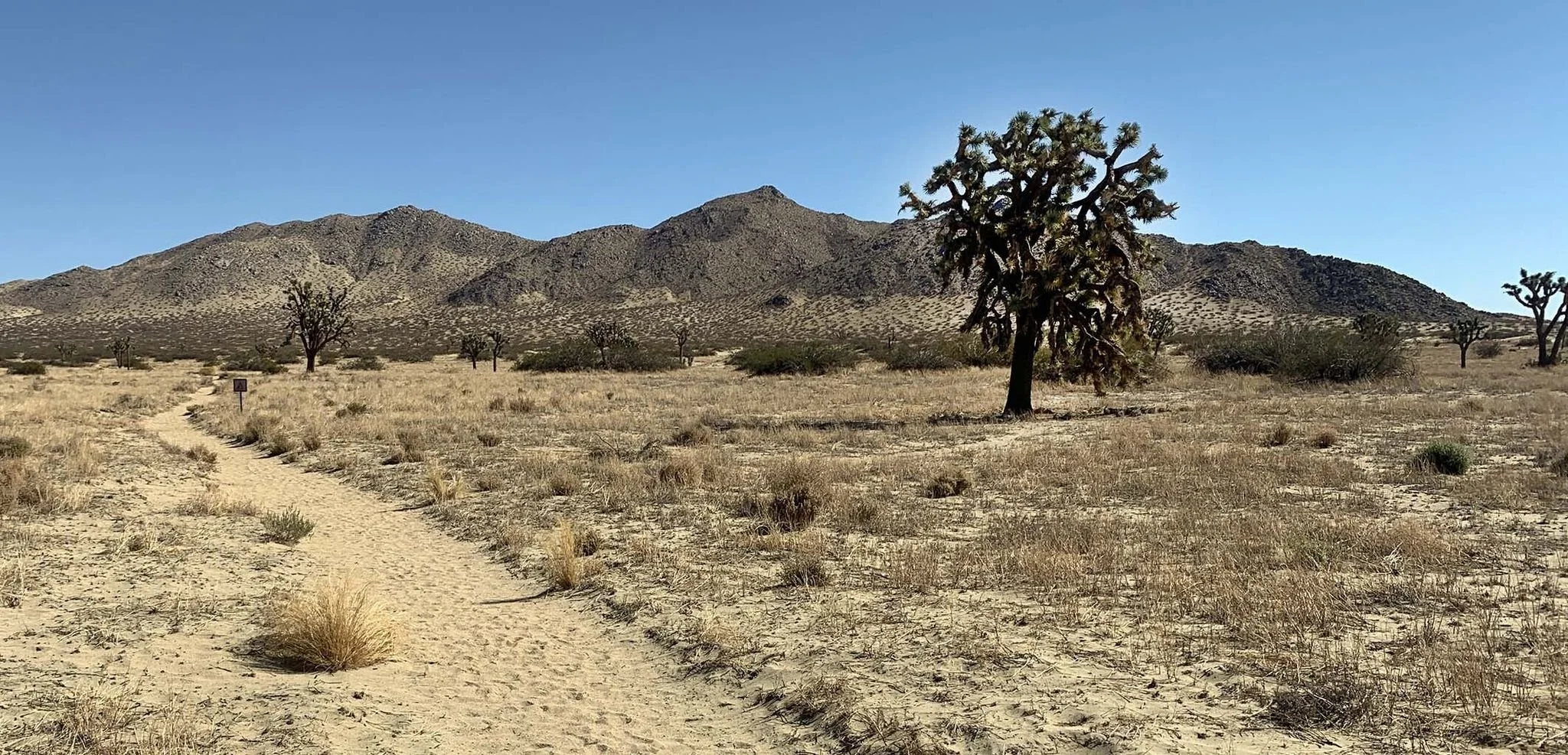 Trail View