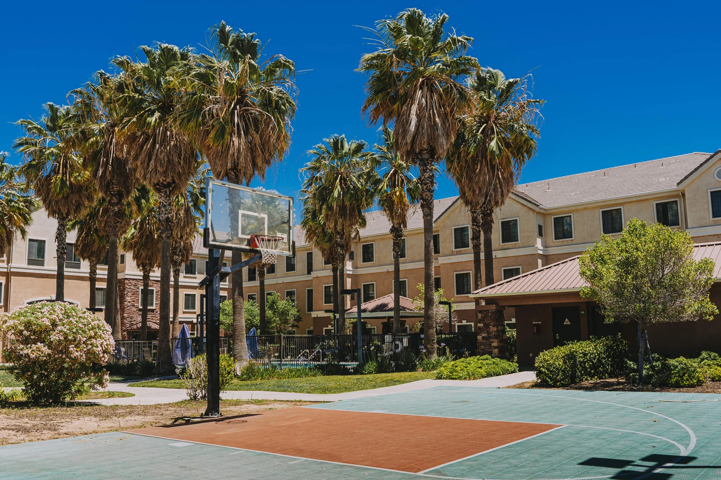Basketball