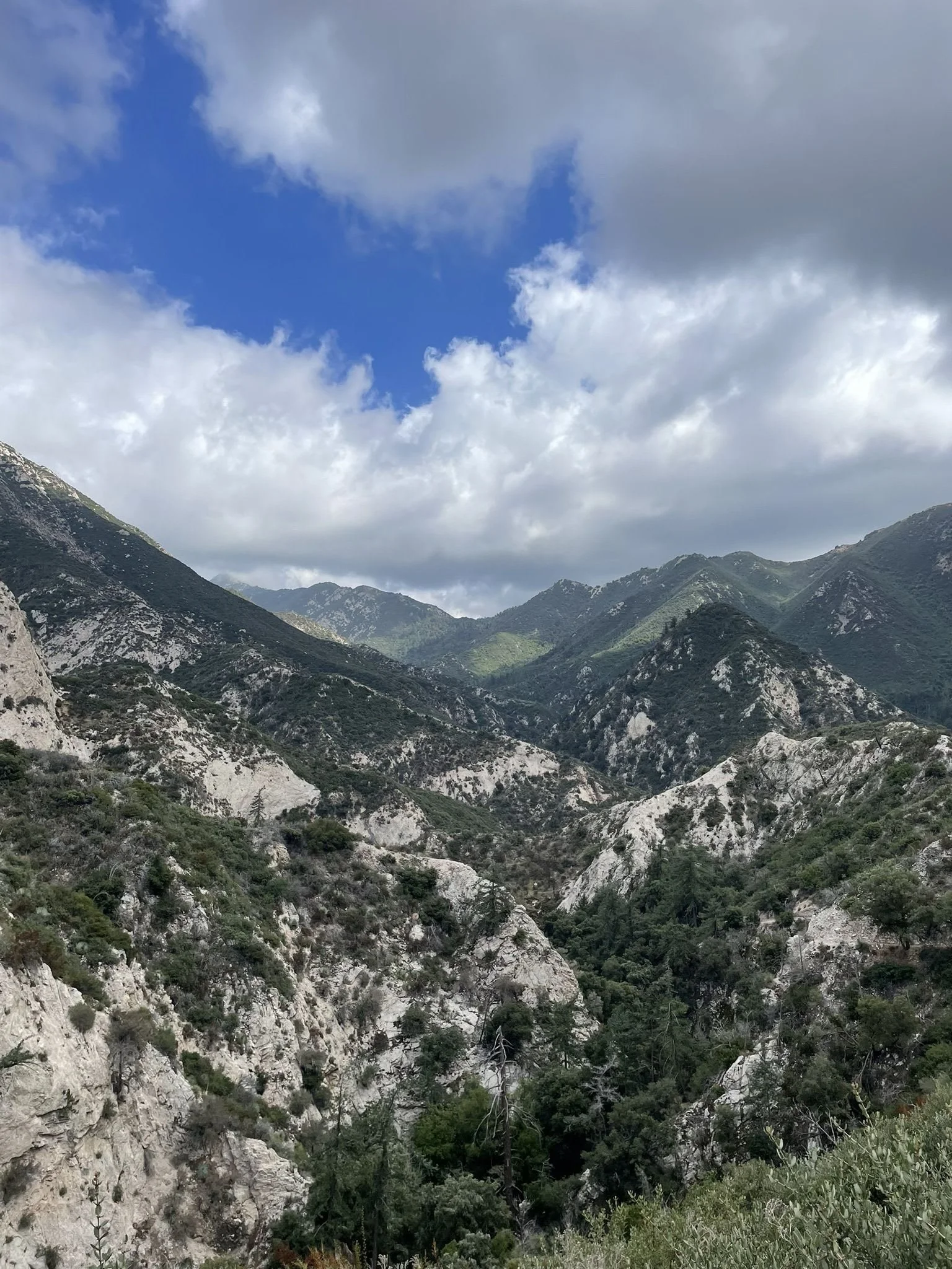 Trail View
