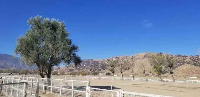 Ranch