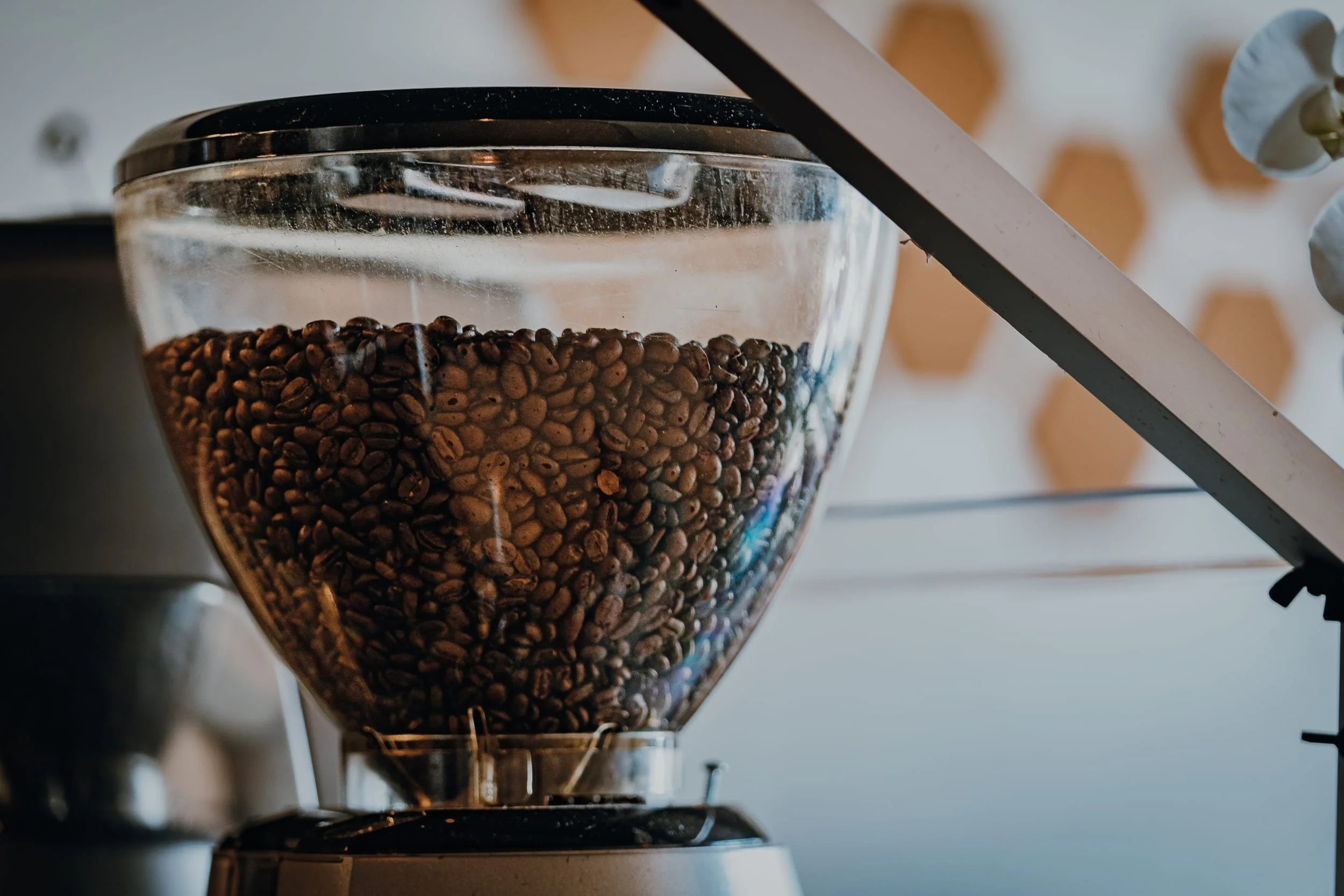 Coffee Beans