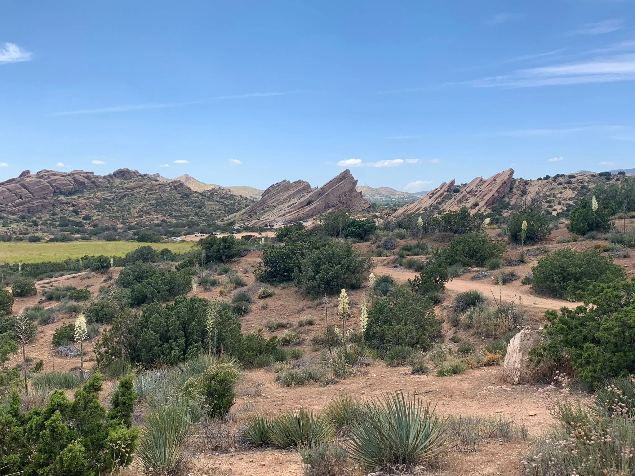 Vasquez Rocks
