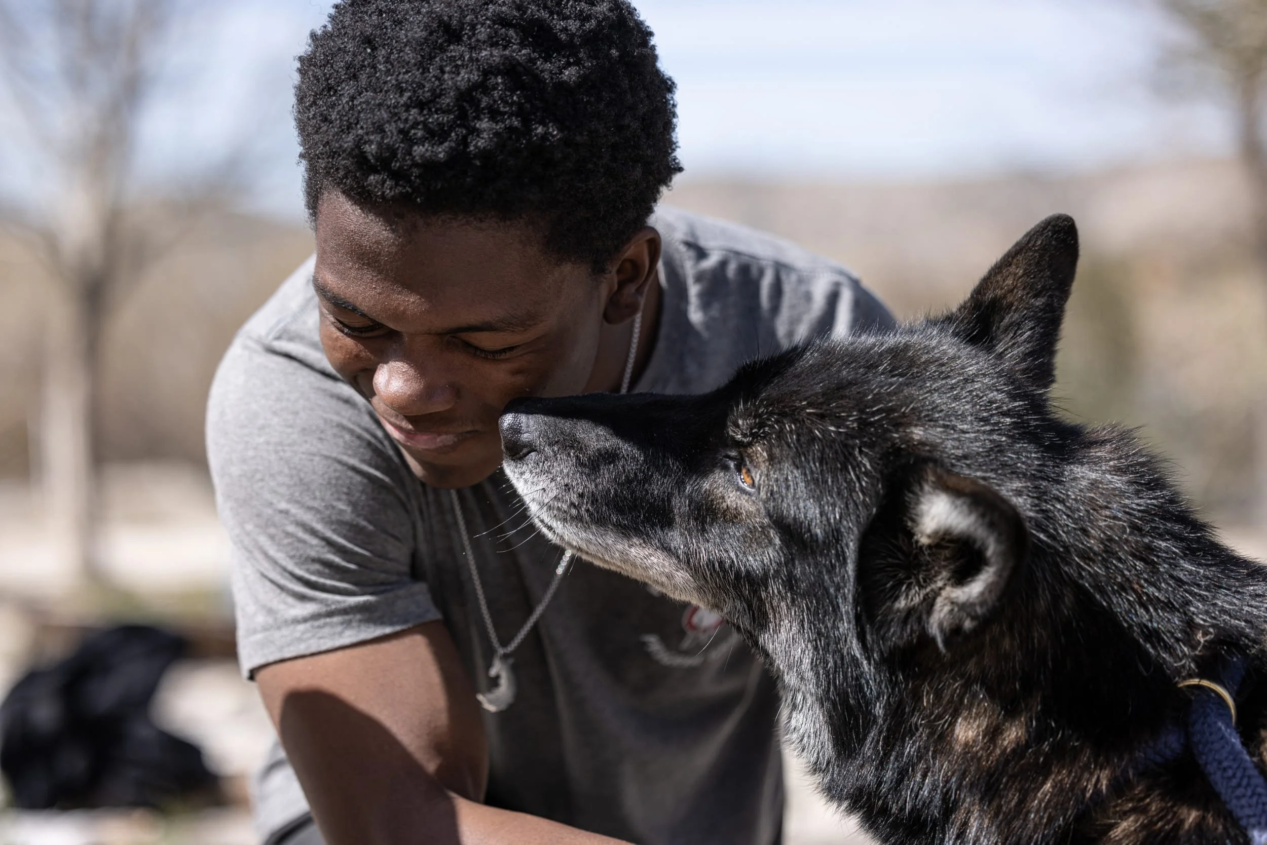 Wolf Connection 3