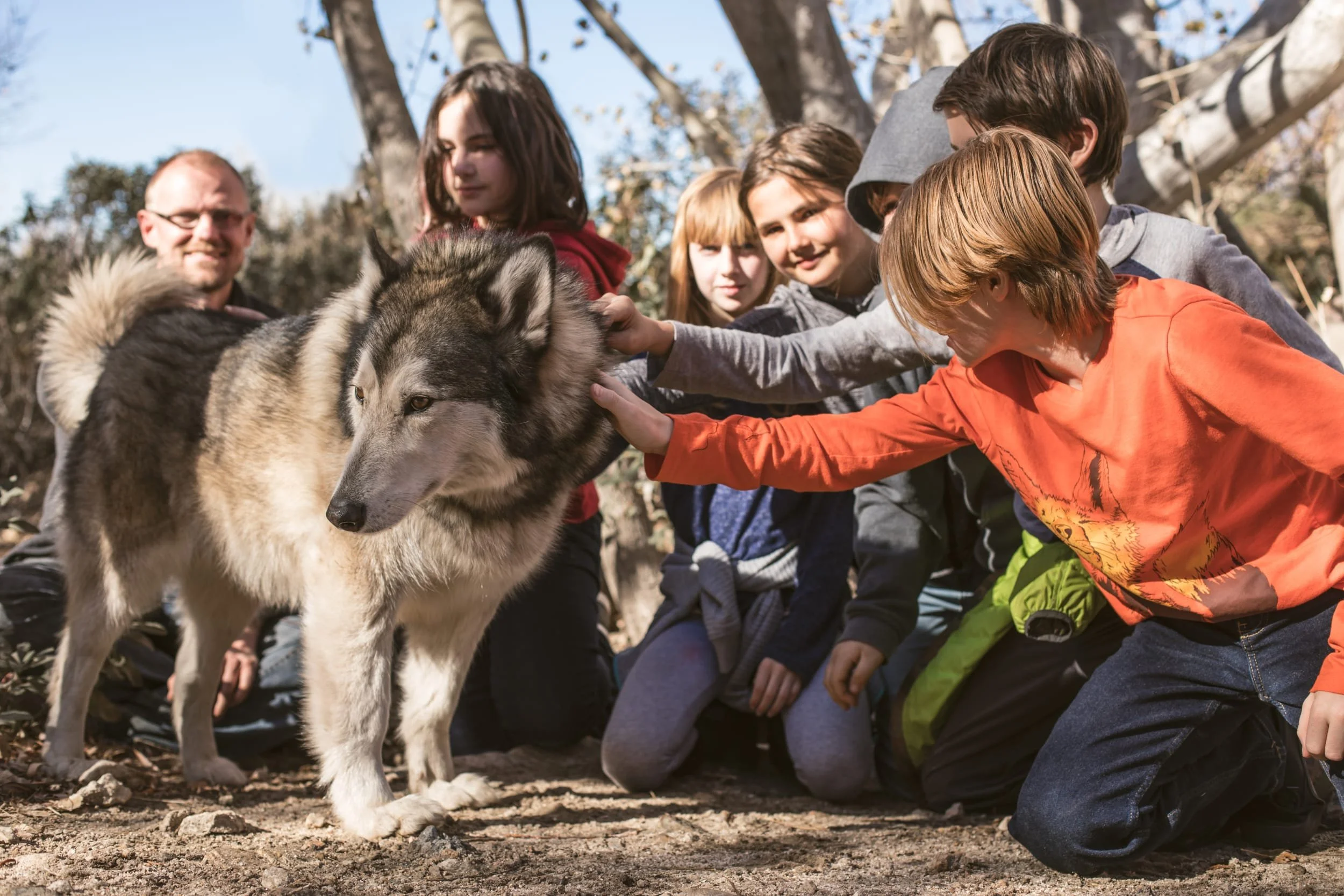 Wolf Connection 4