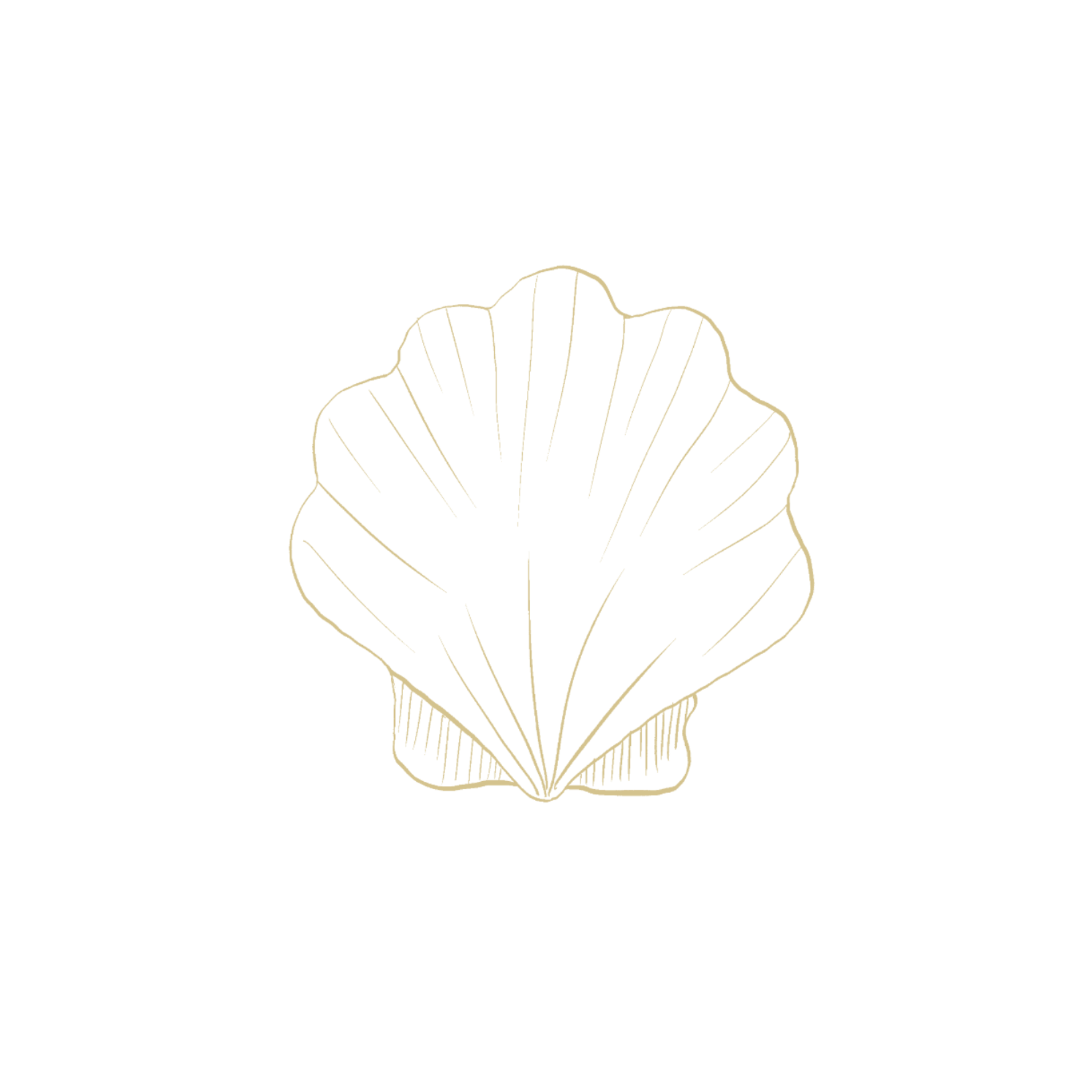 Een gouden lijntekening van een schelp.