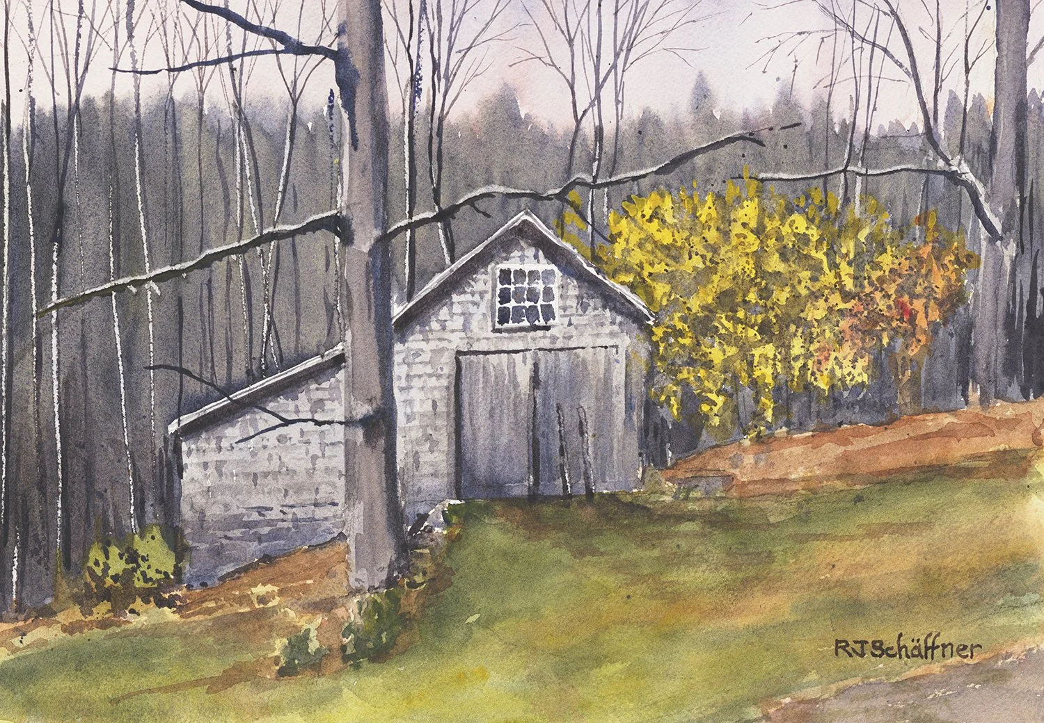Emily's Studio